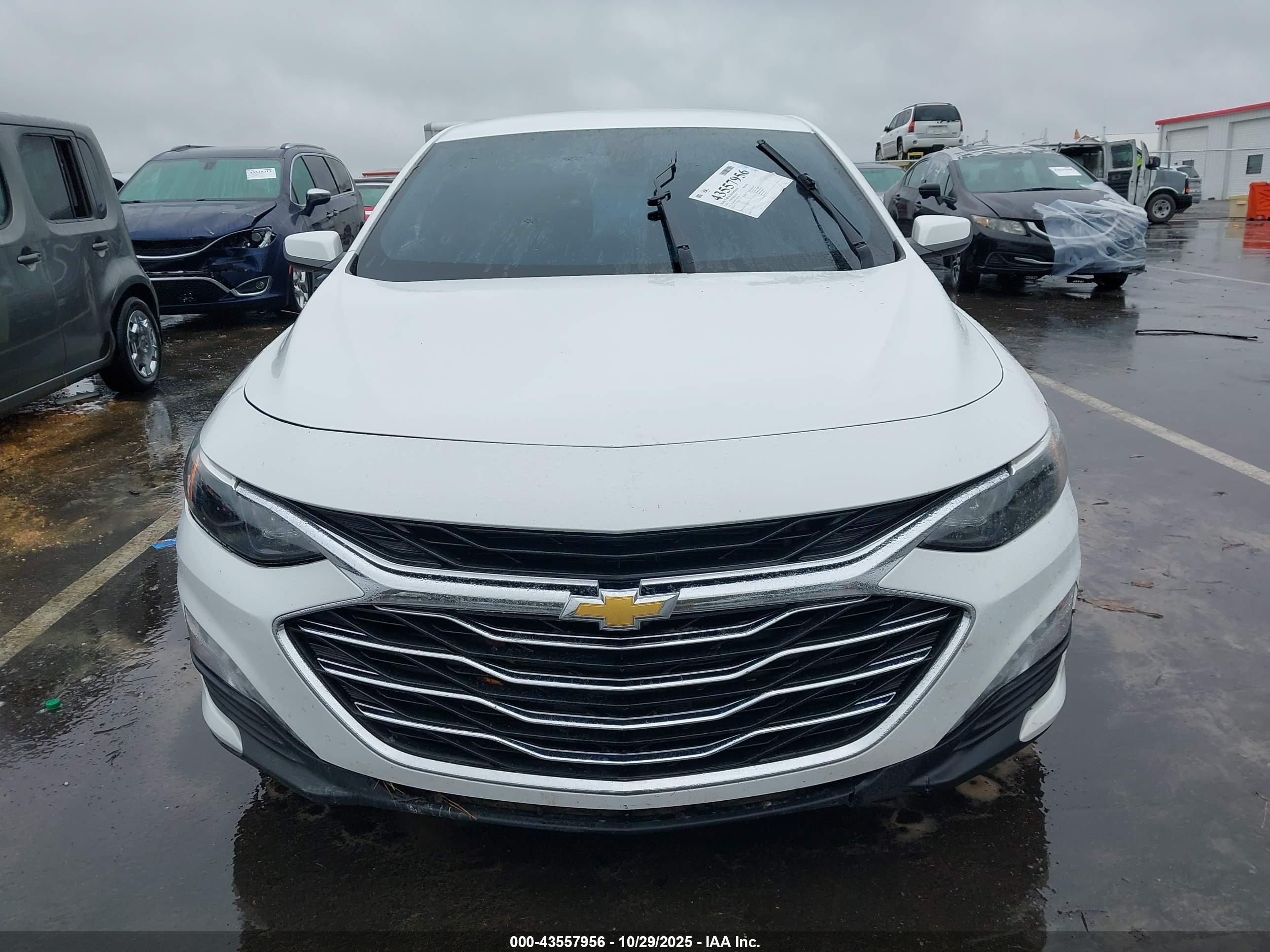 CHEVROLET MALIBU image 6