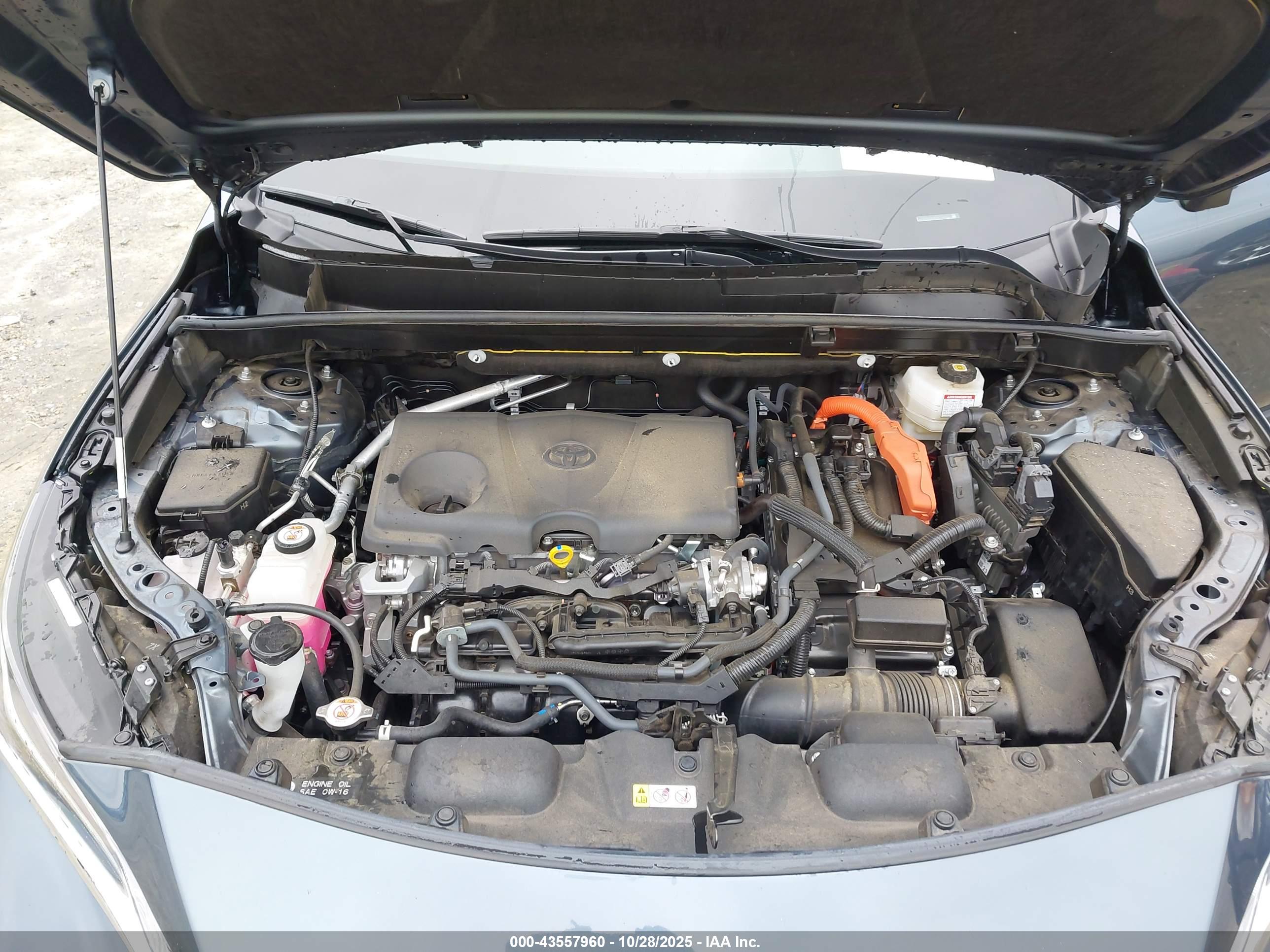 TOYOTA VENZA image 10