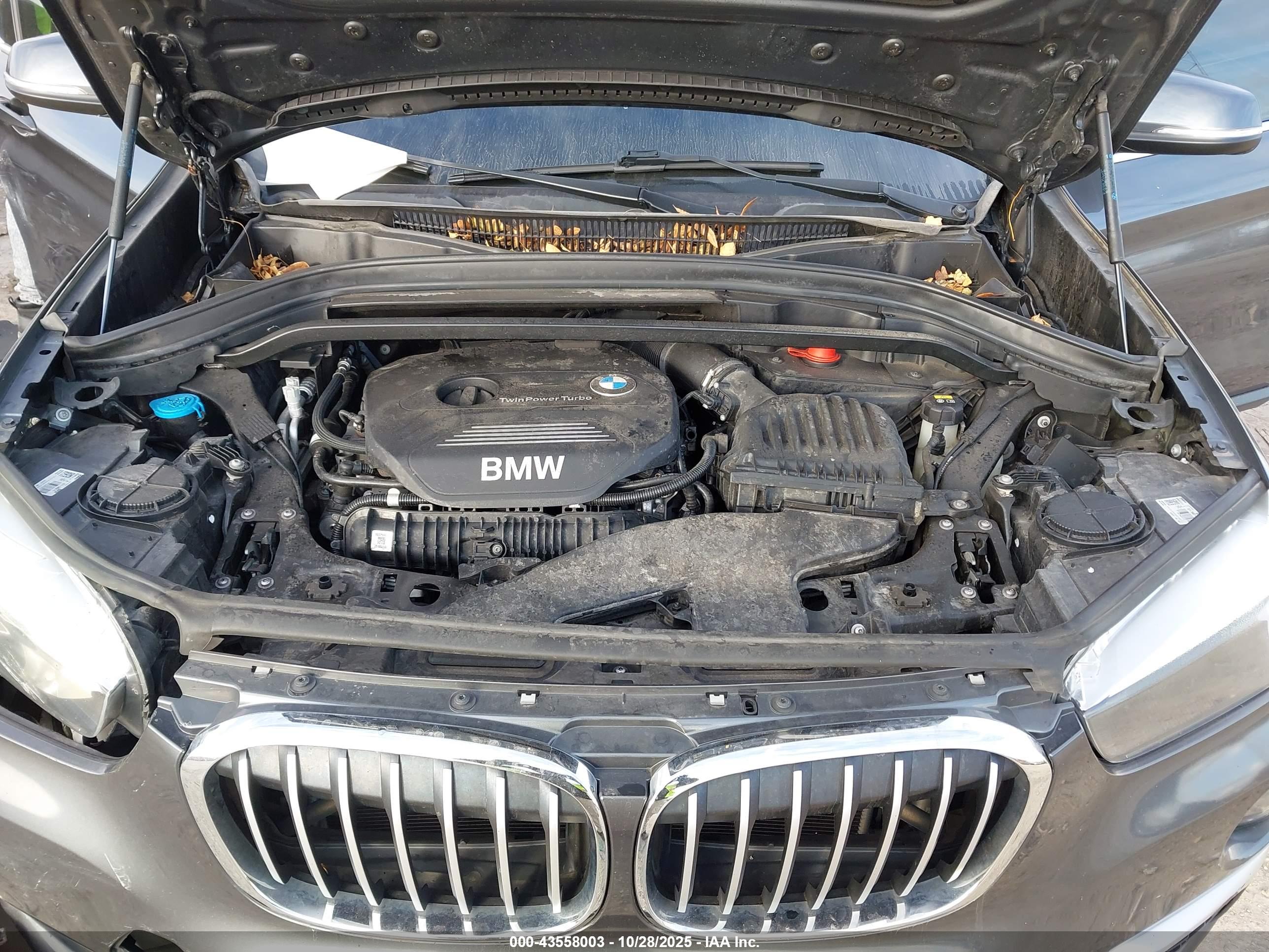 BMW X1 image 10