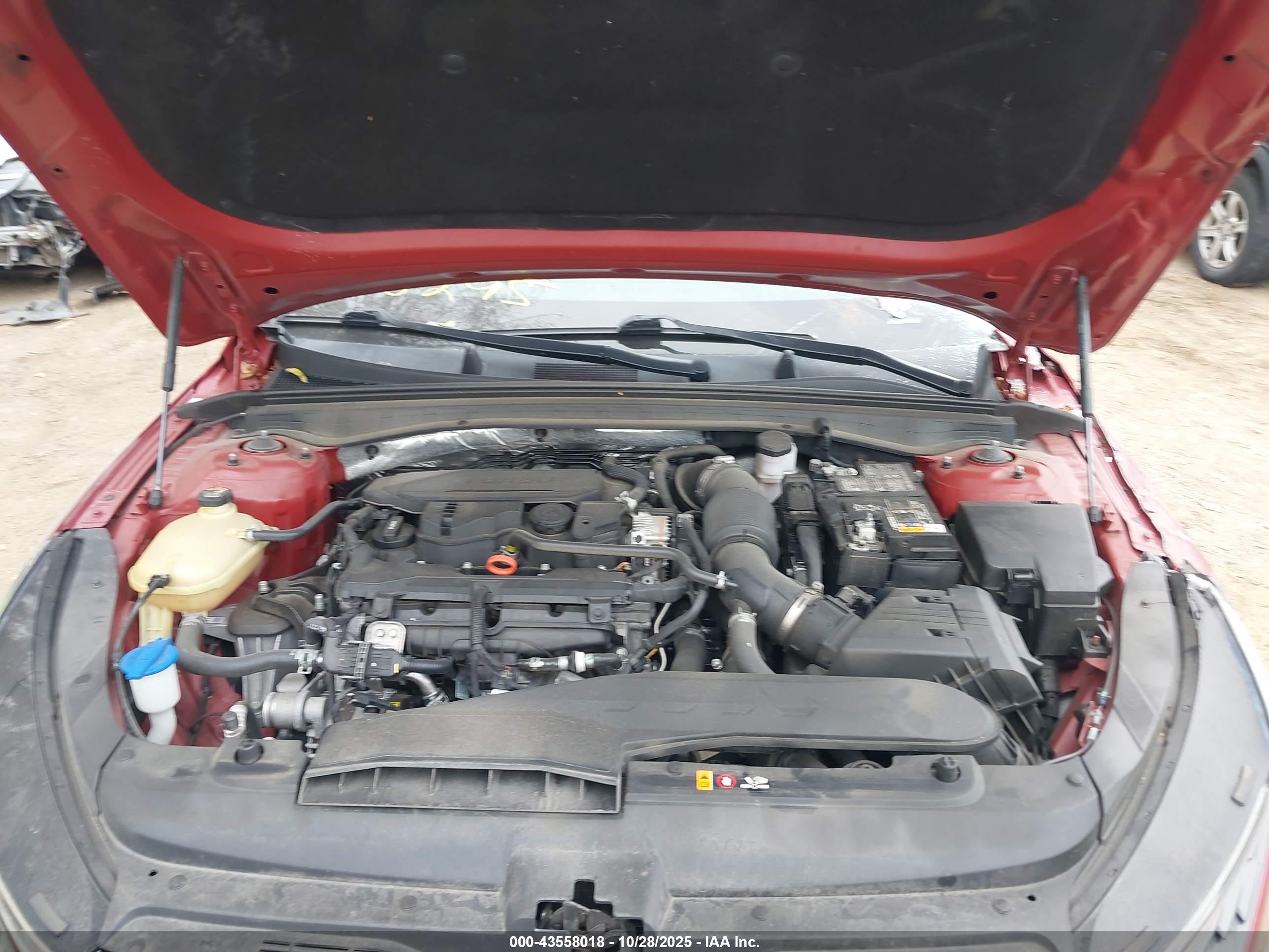 KIA K5 image 10