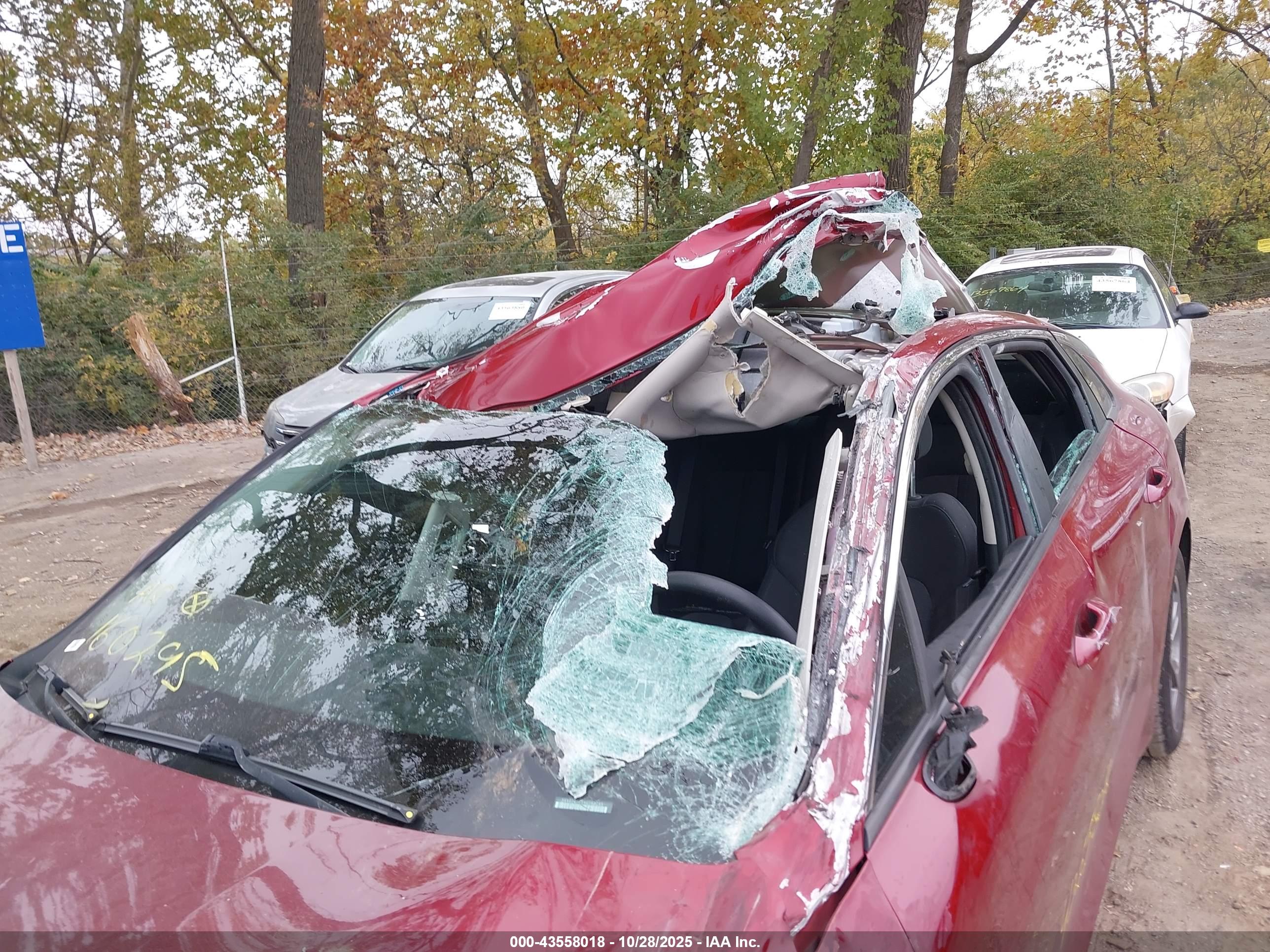 KIA K5 image 6