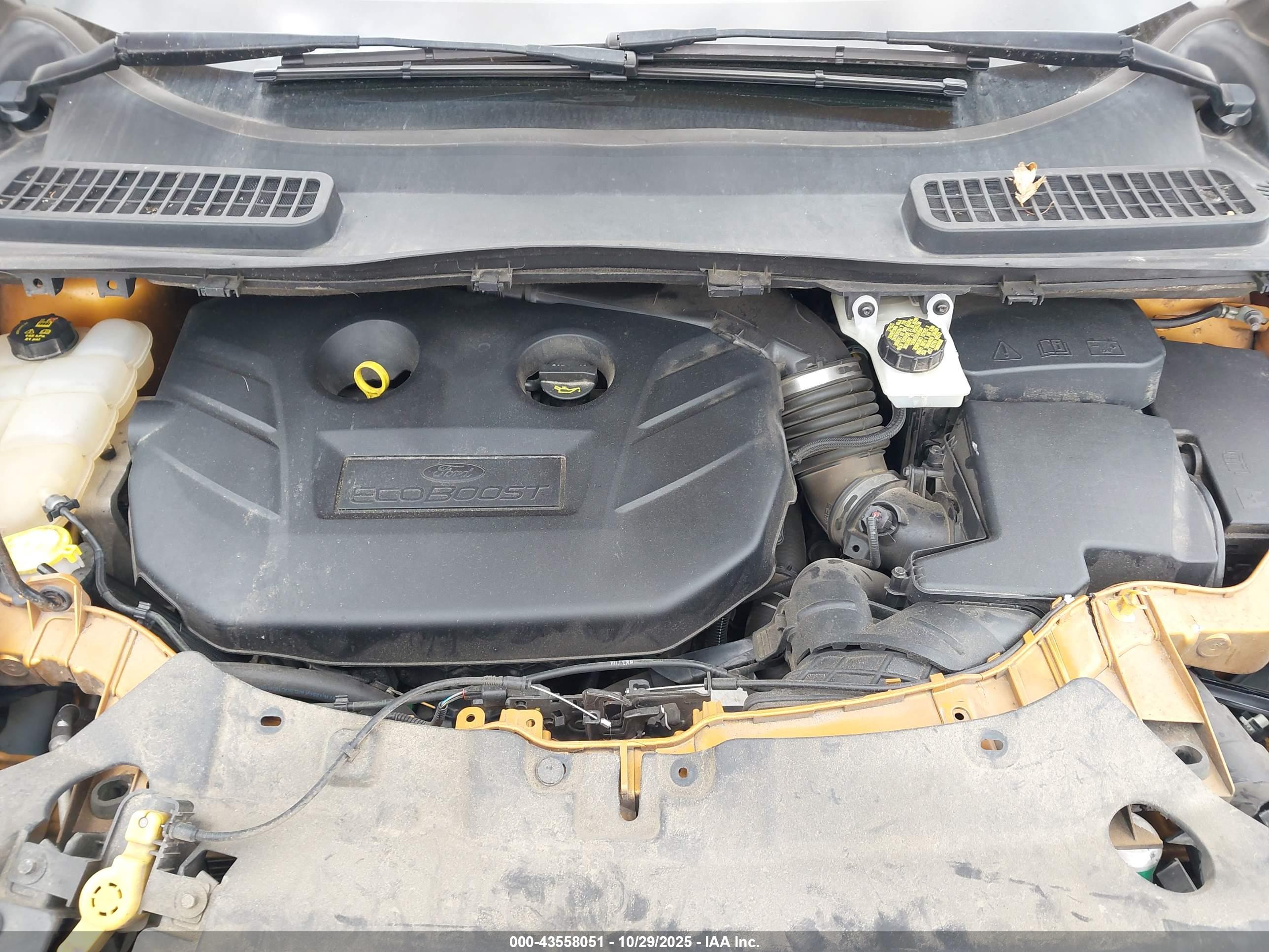 FORD ESCAPE image 10