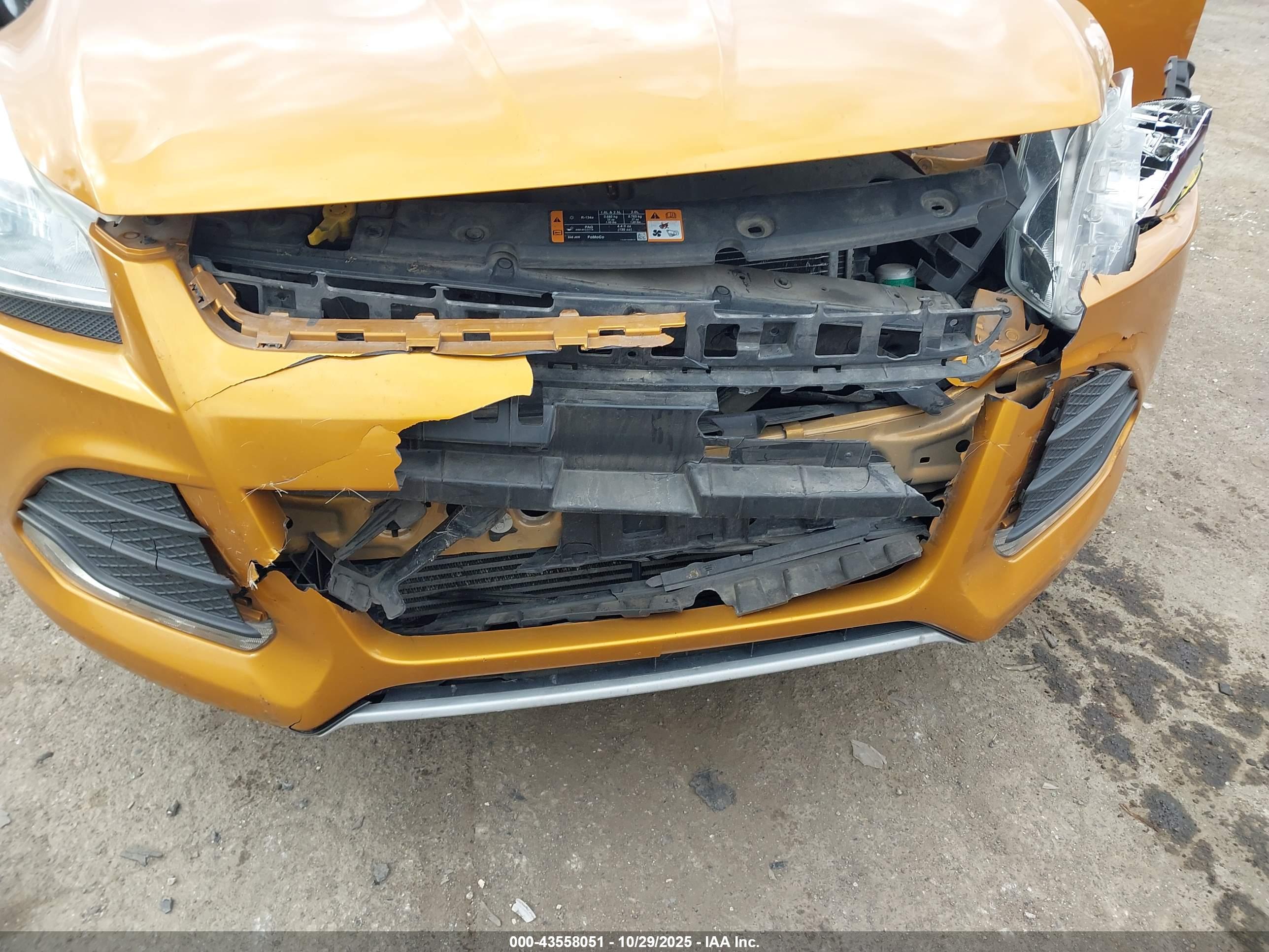 FORD ESCAPE image 6