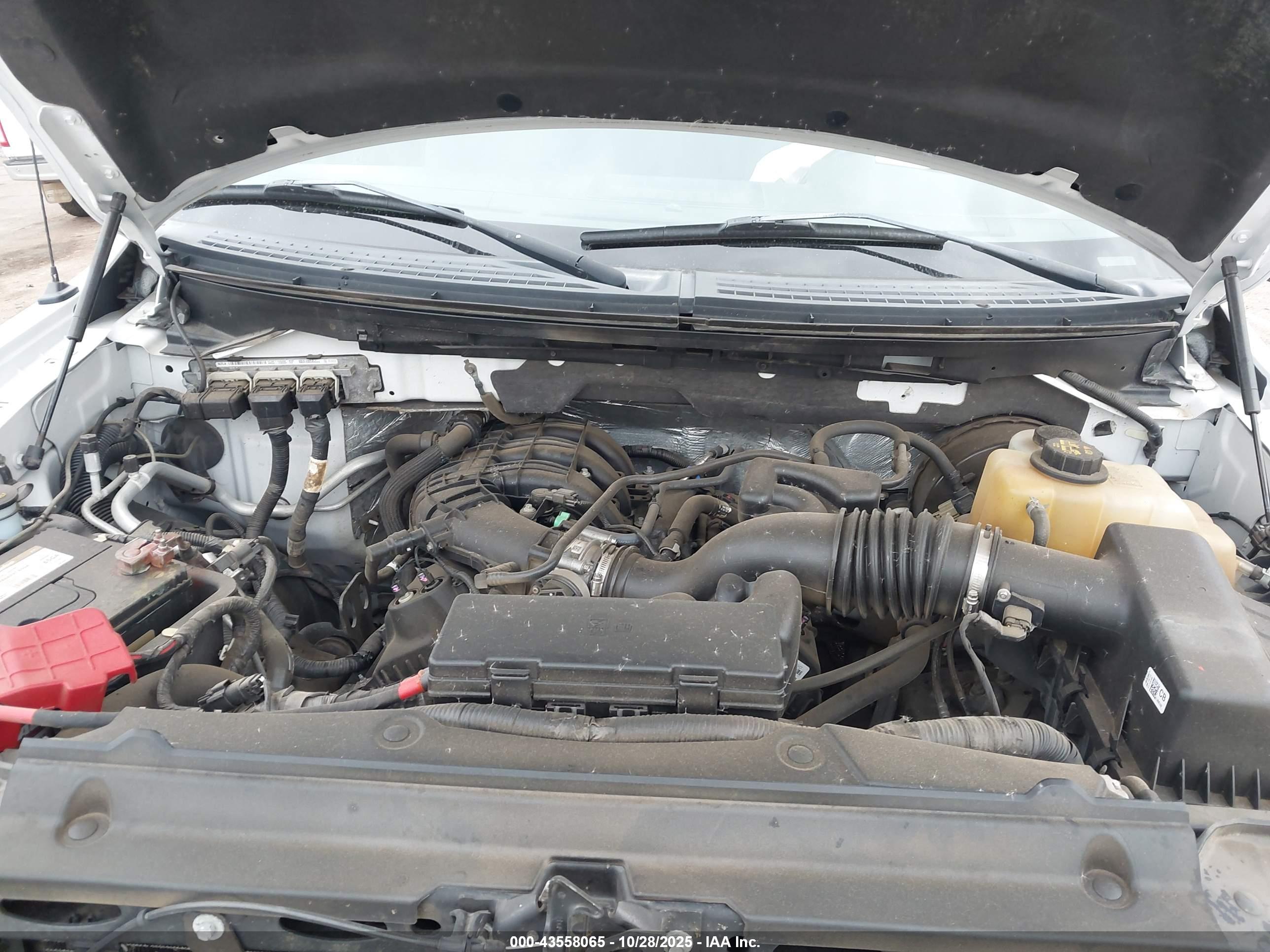 FORD F-150 image 10