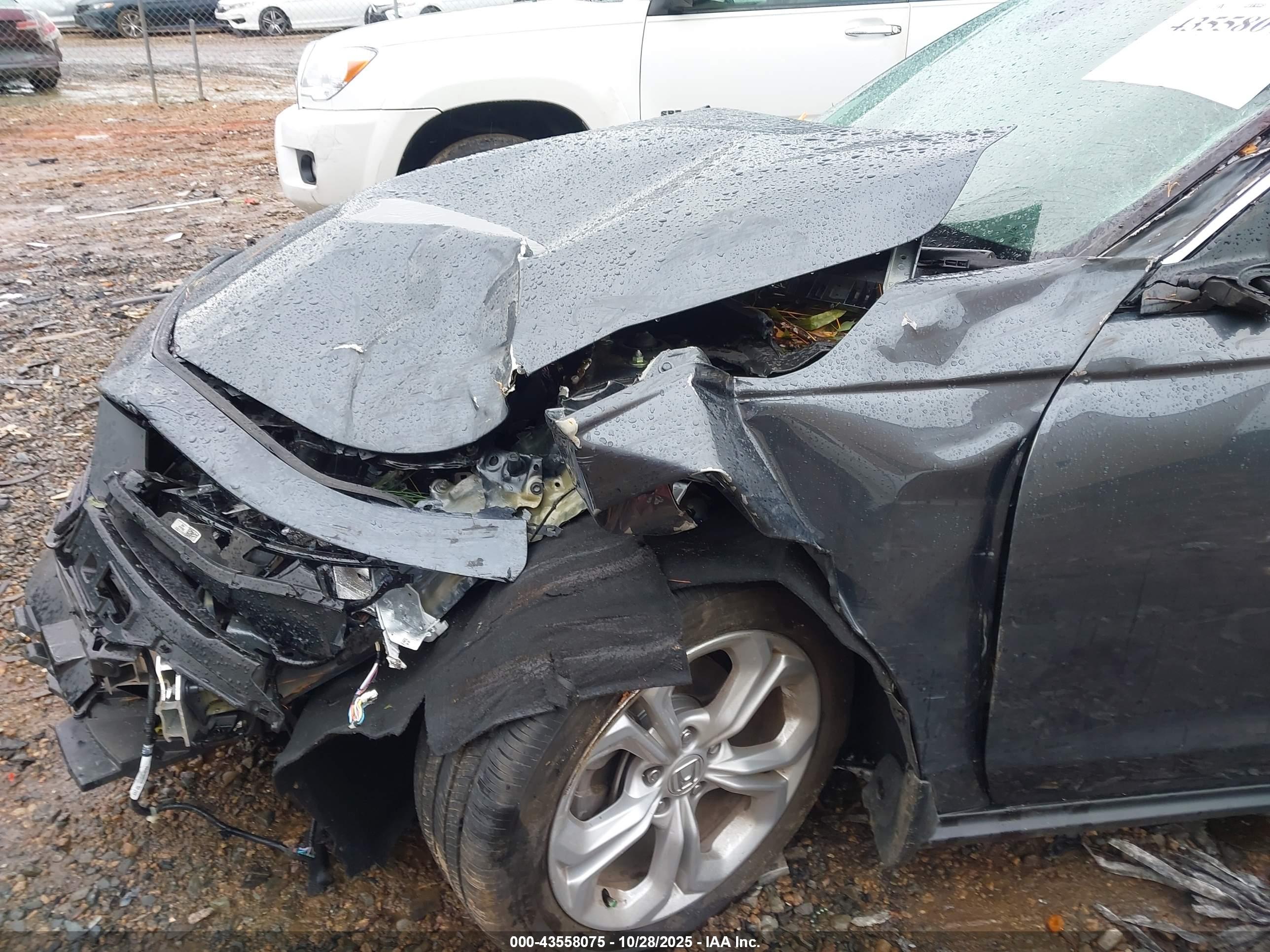 HONDA ACCORD image 6