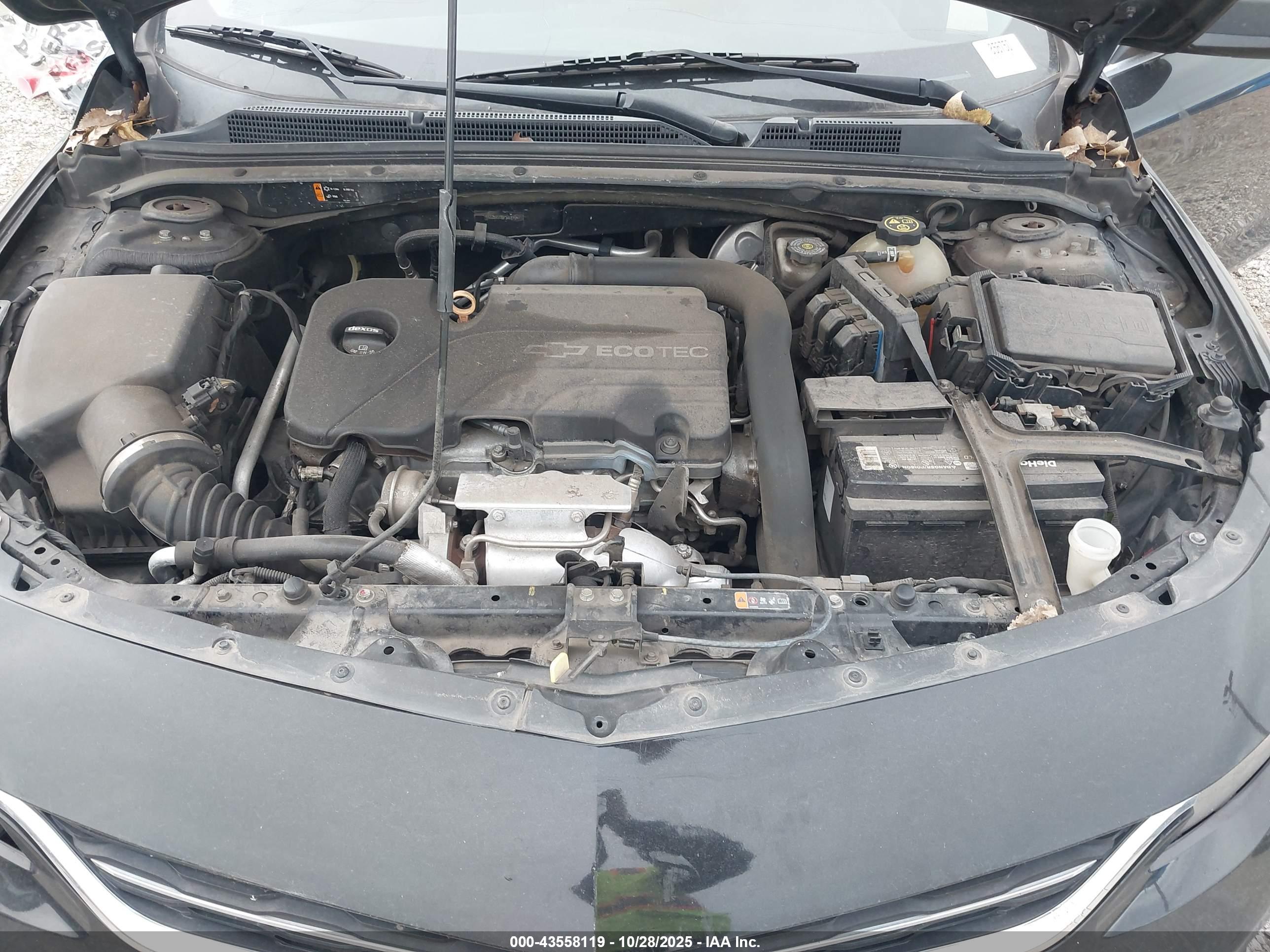 CHEVROLET MALIBU image 10