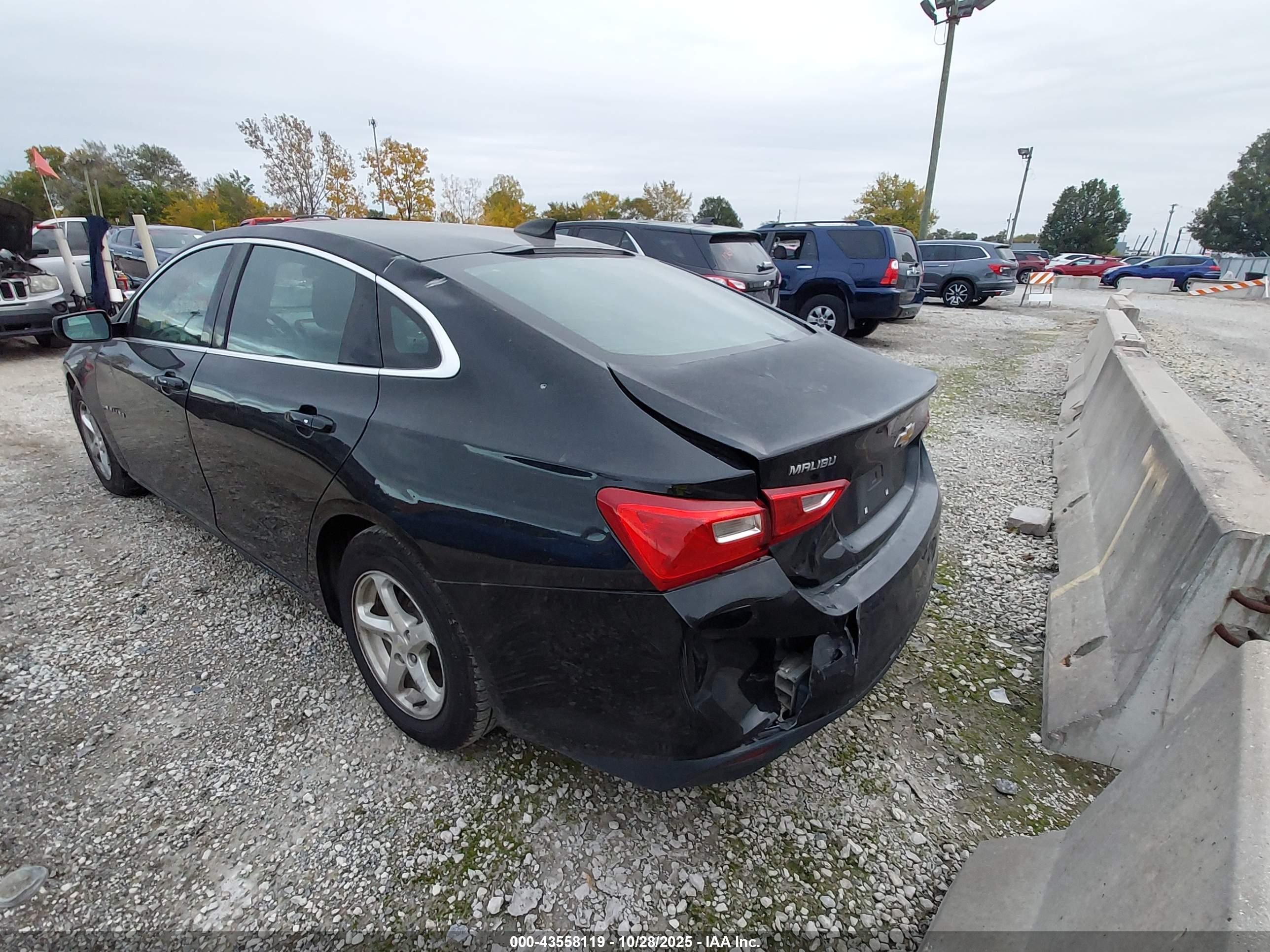 CHEVROLET MALIBU image 3
