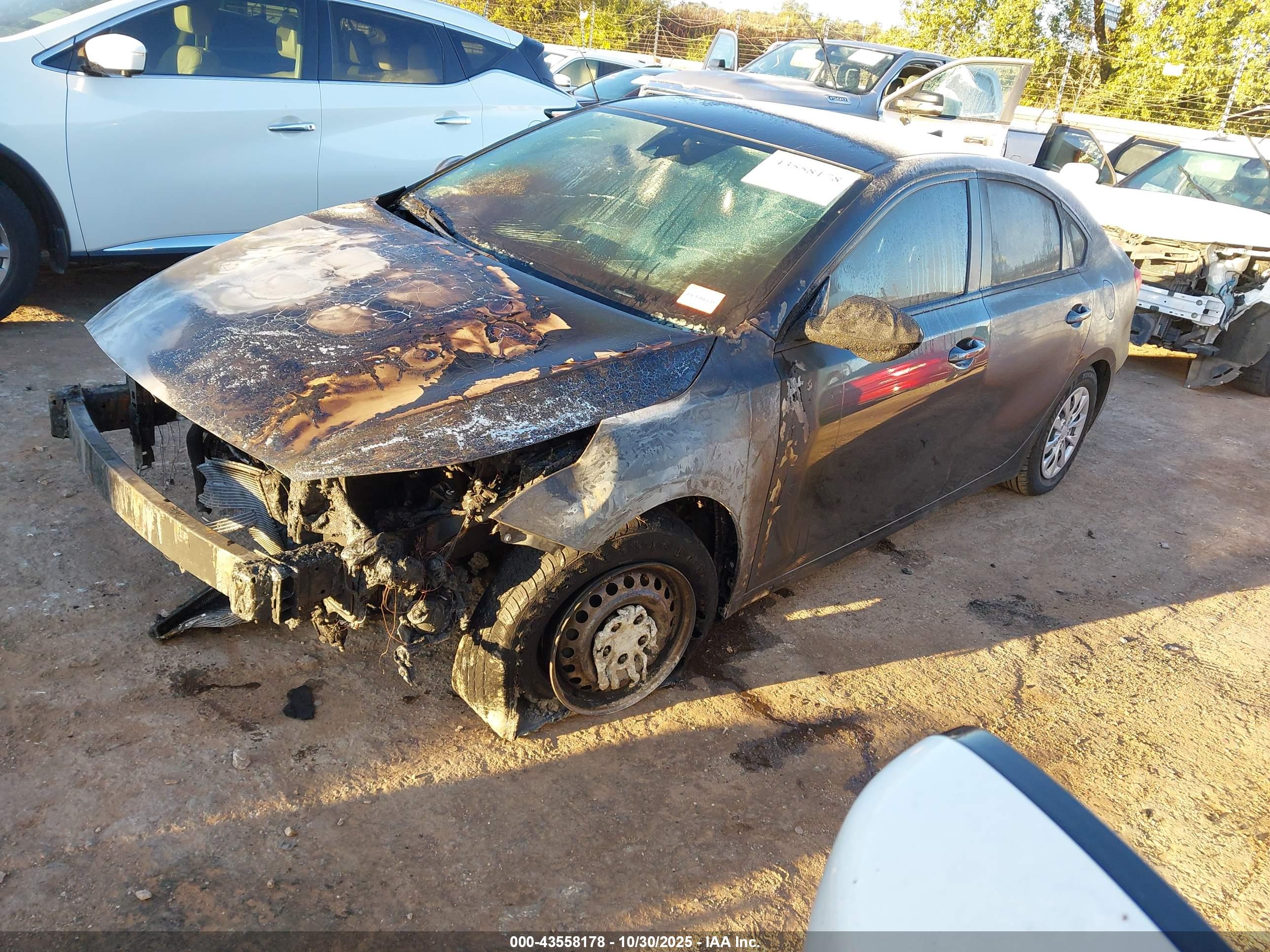 KIA FORTE image 2