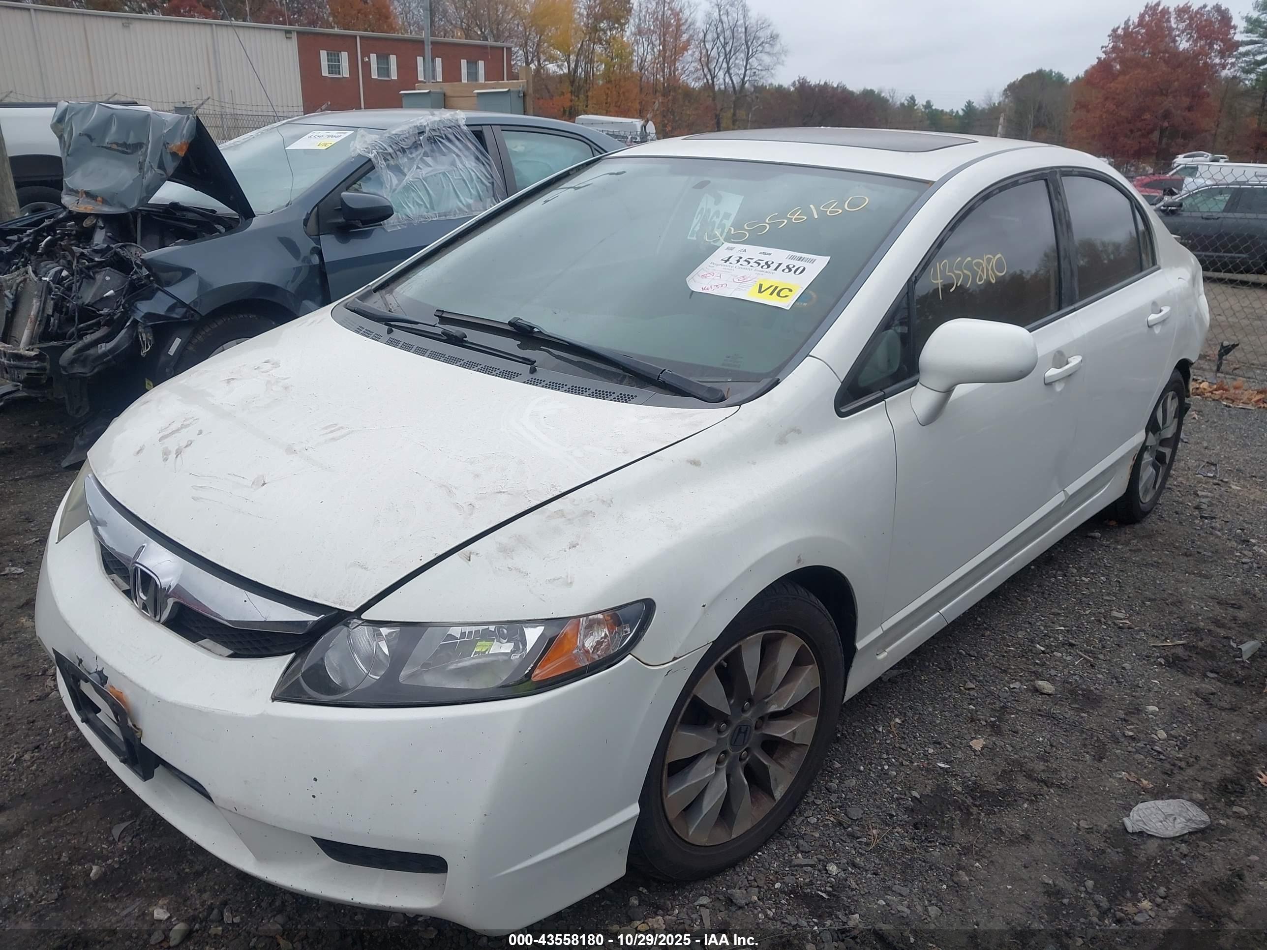 HONDA CIVIC image 2
