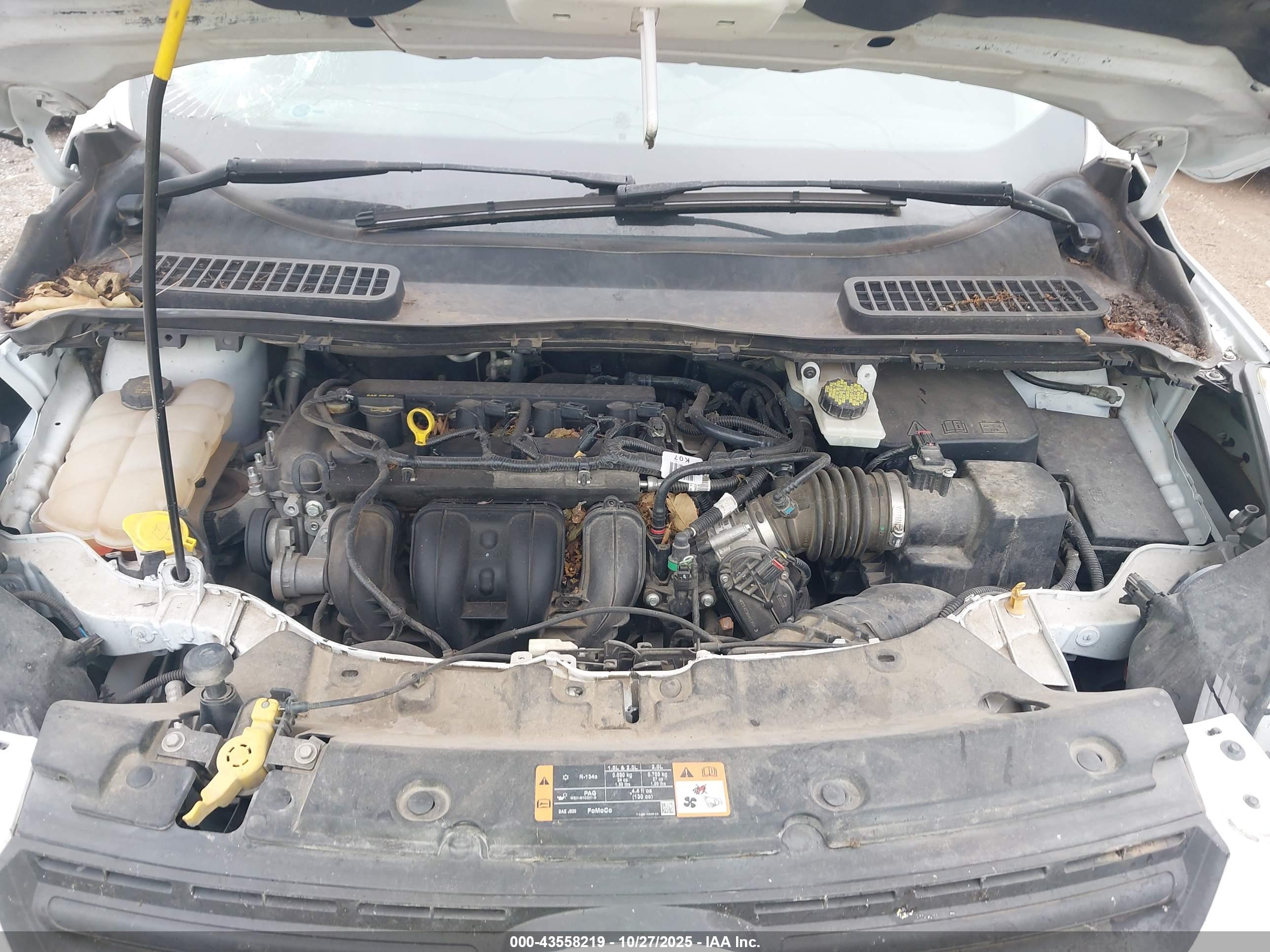 FORD ESCAPE image 10