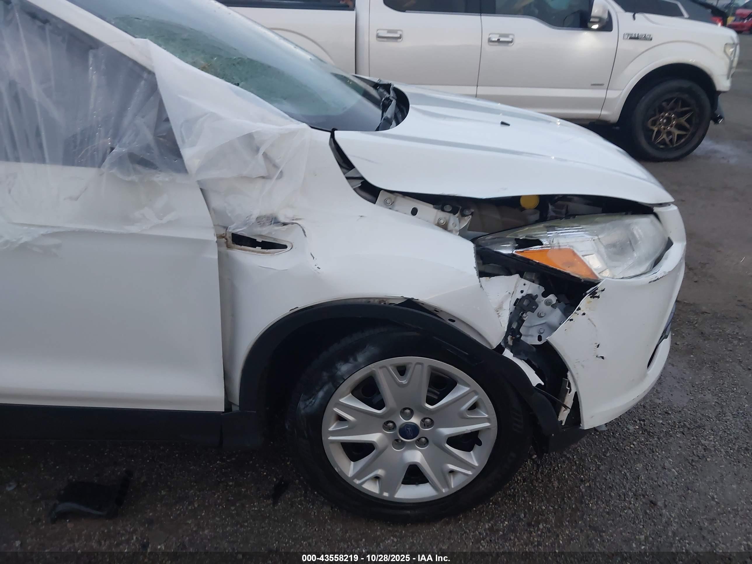 FORD ESCAPE image 6