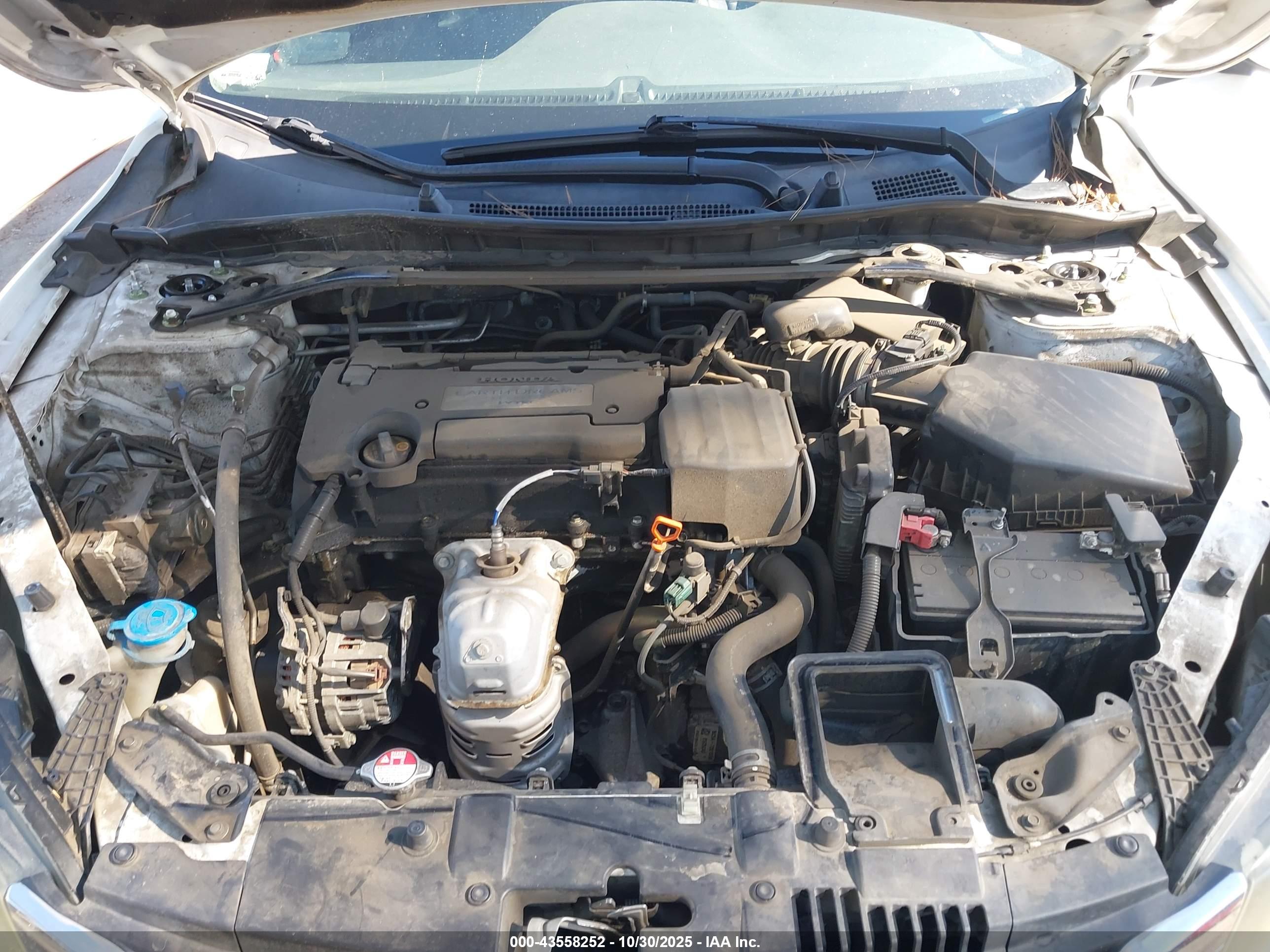 HONDA ACCORD image 10