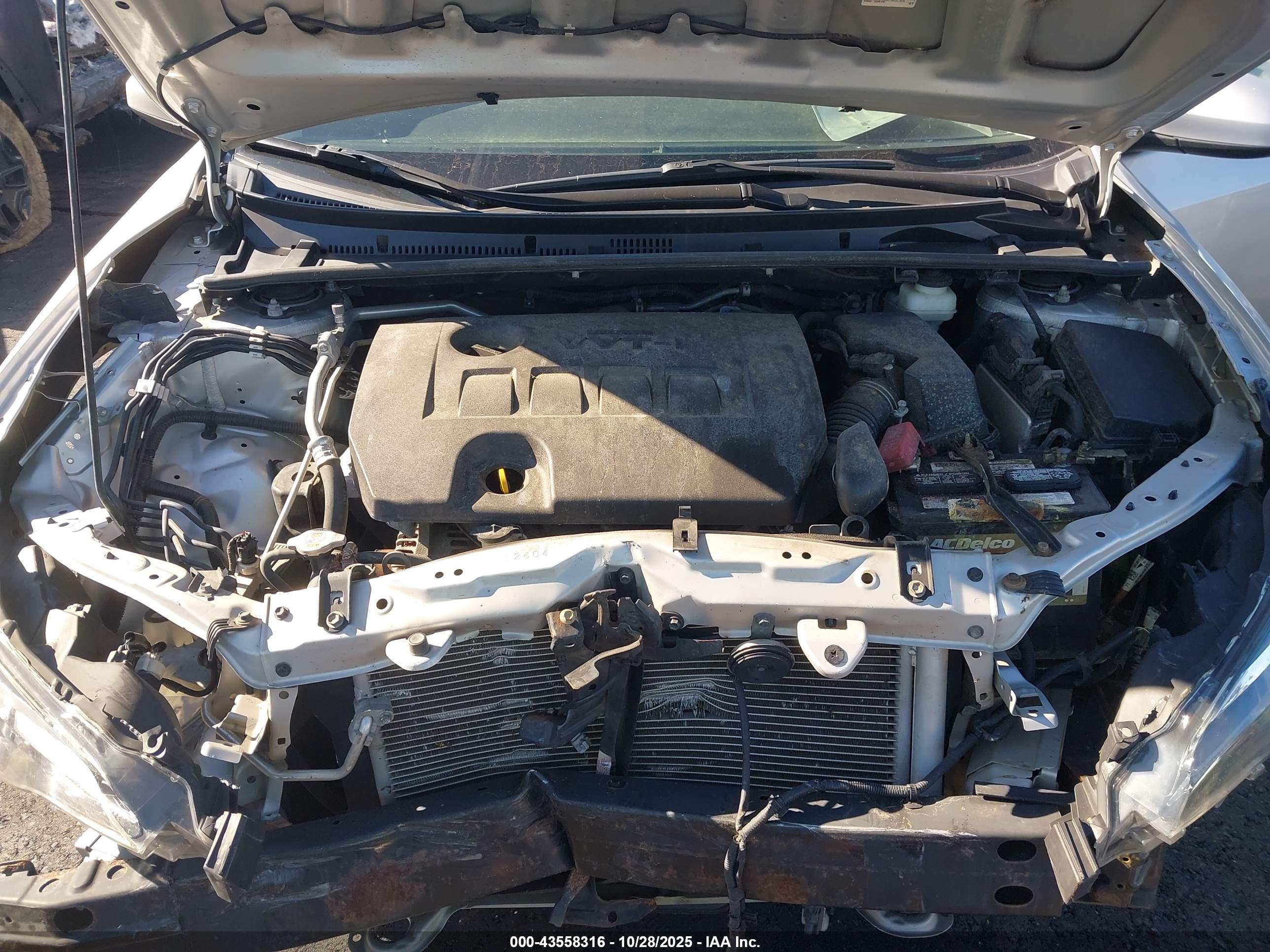 TOYOTA COROLLA image 10
