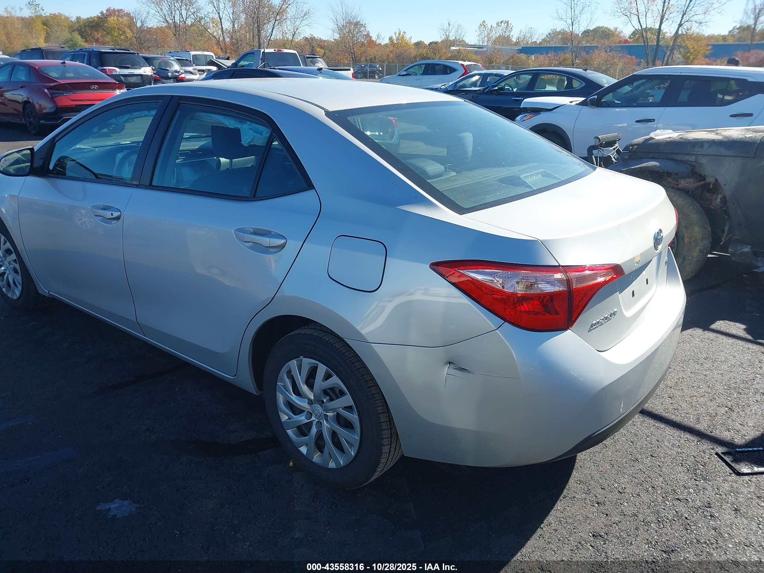 TOYOTA COROLLA image 3
