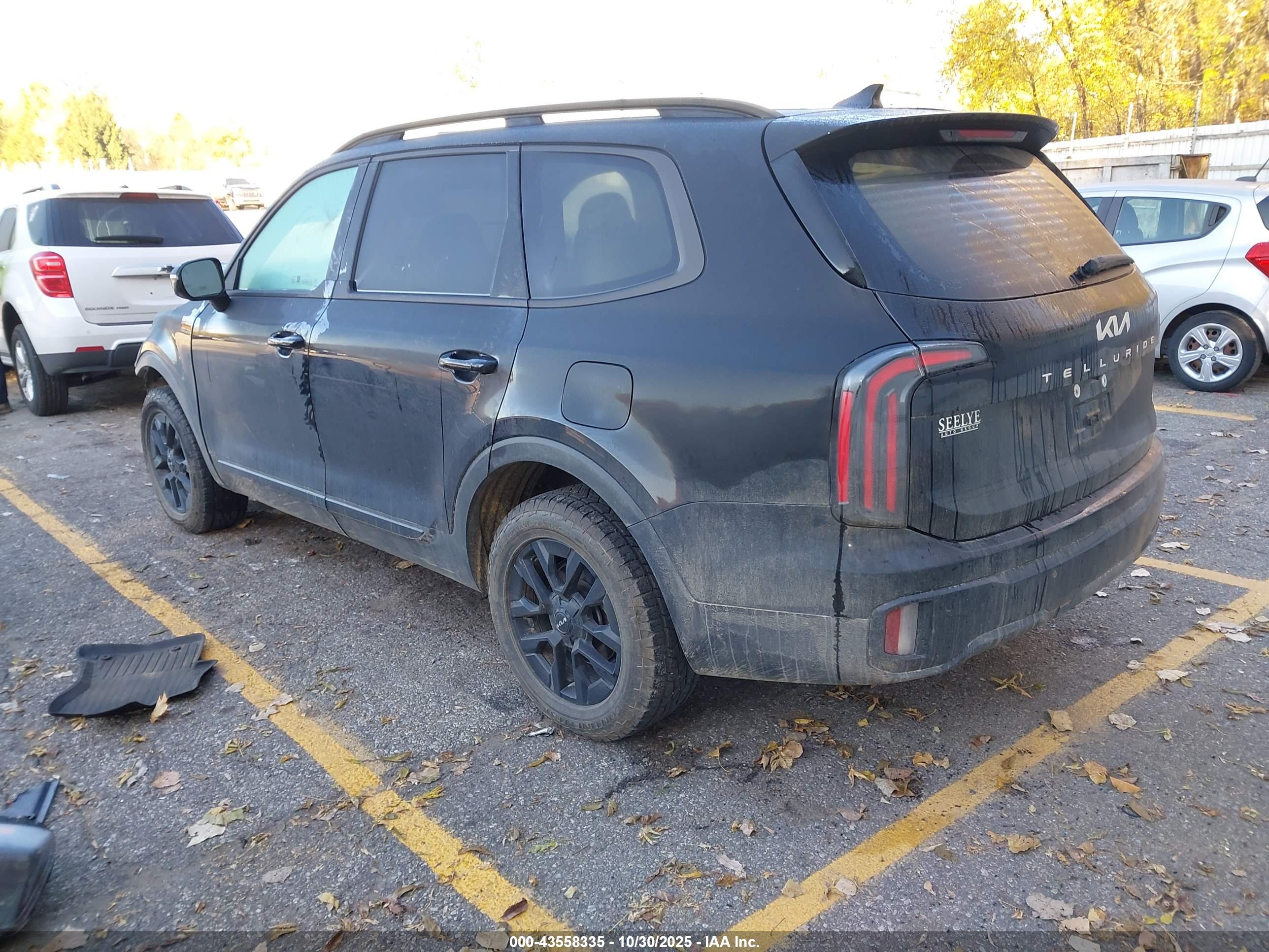 KIA TELLURIDE image 3