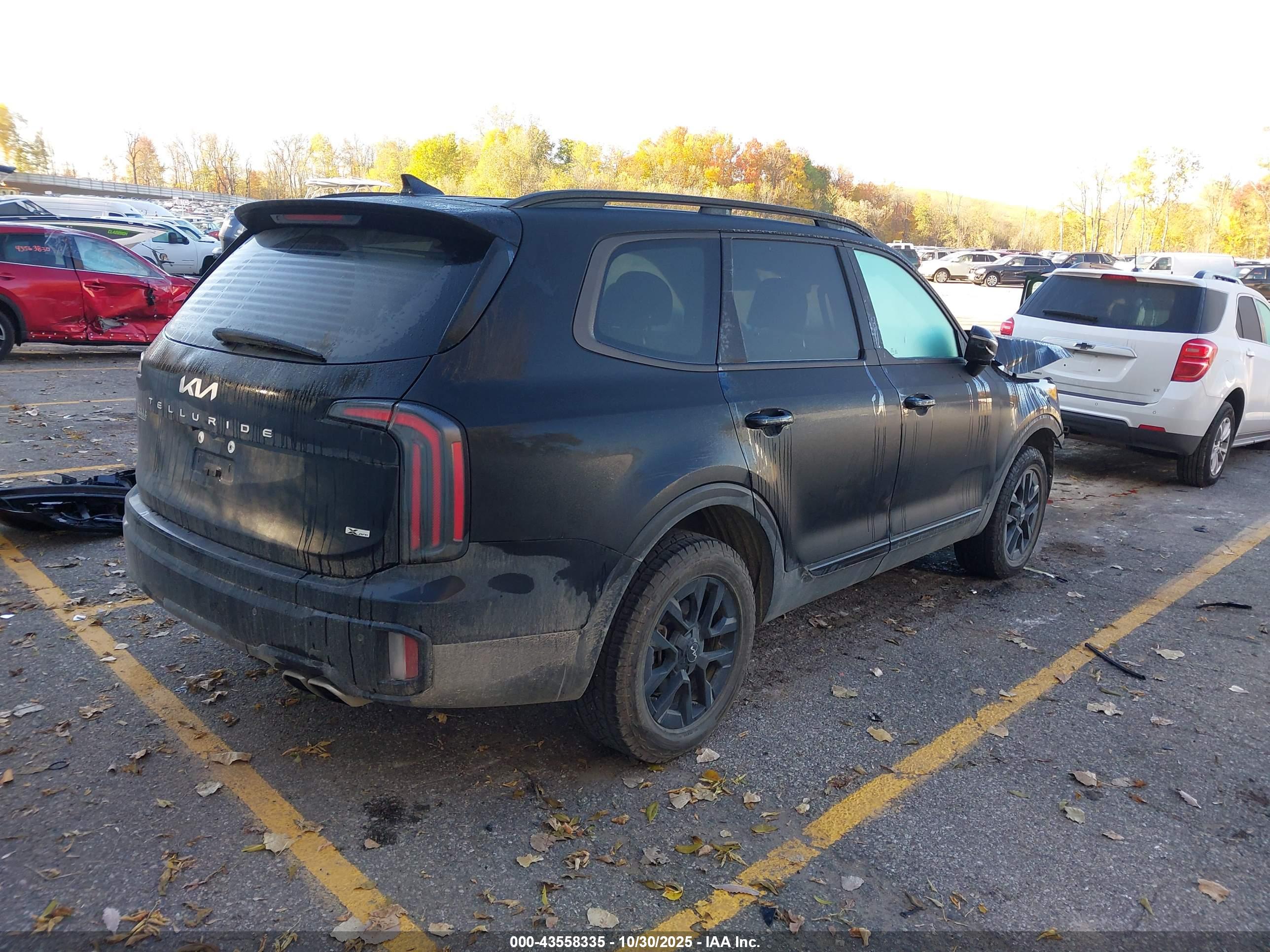 KIA TELLURIDE image 4