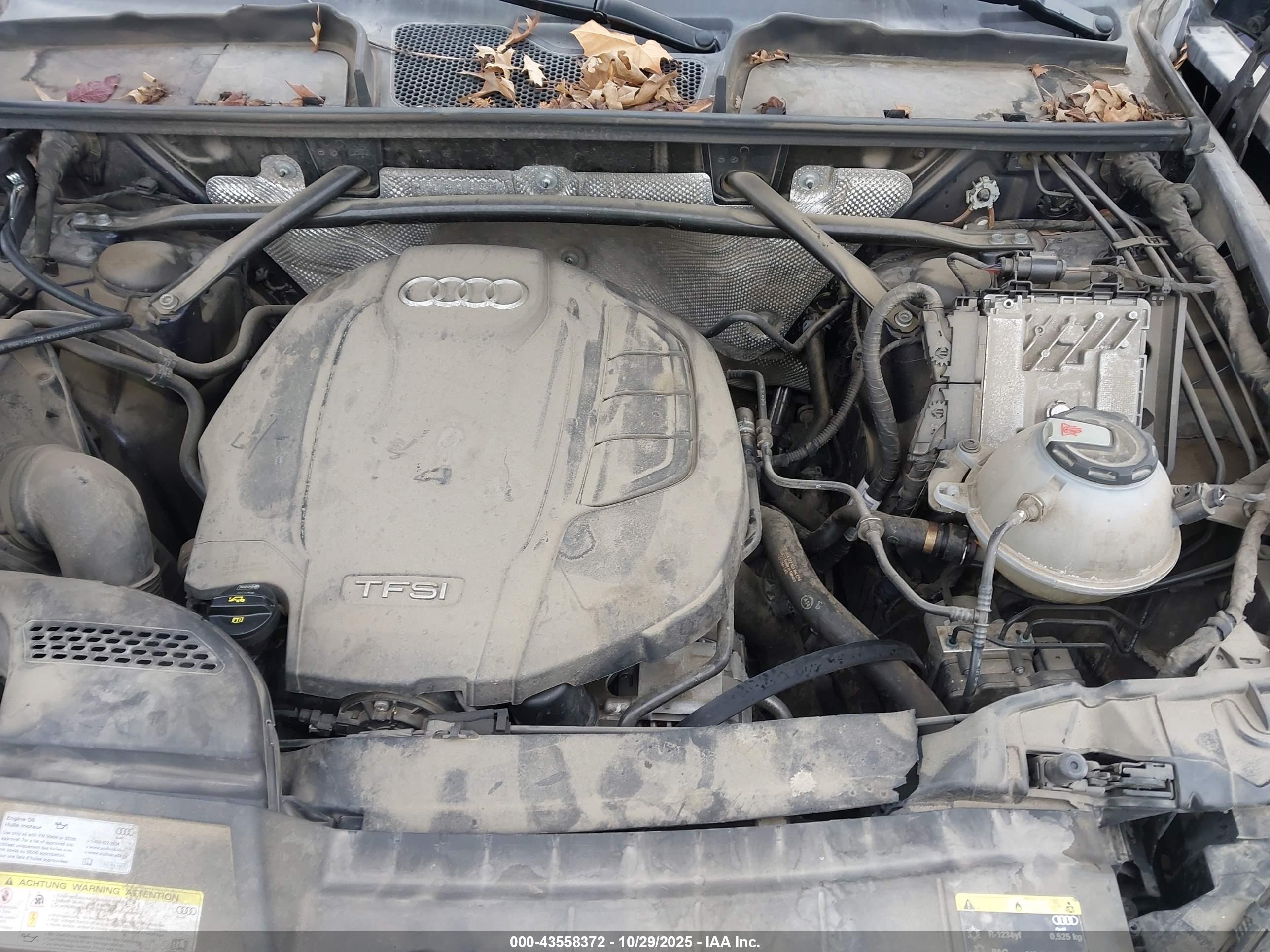 AUDI Q5 image 10