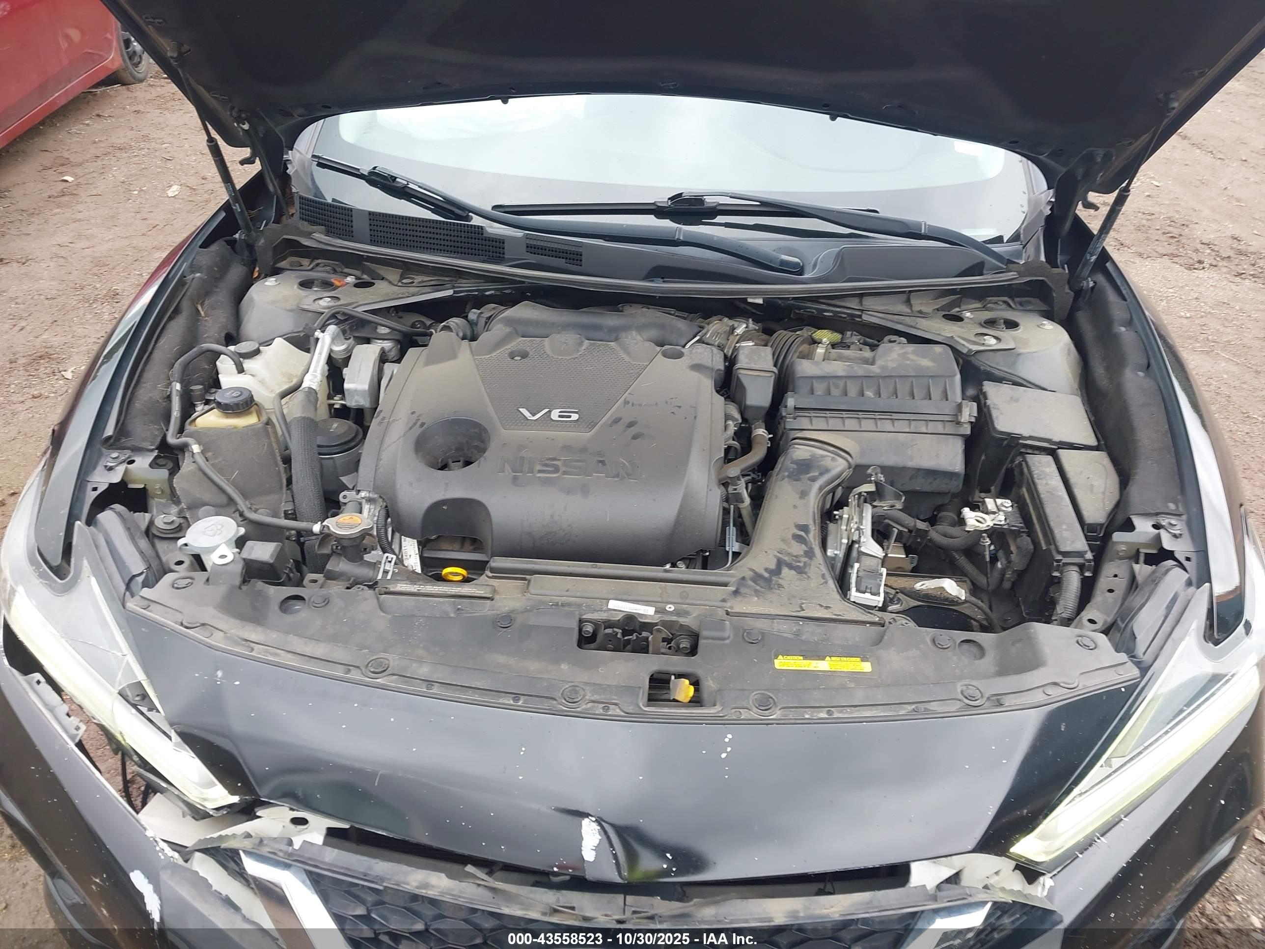 NISSAN MAXIMA image 10