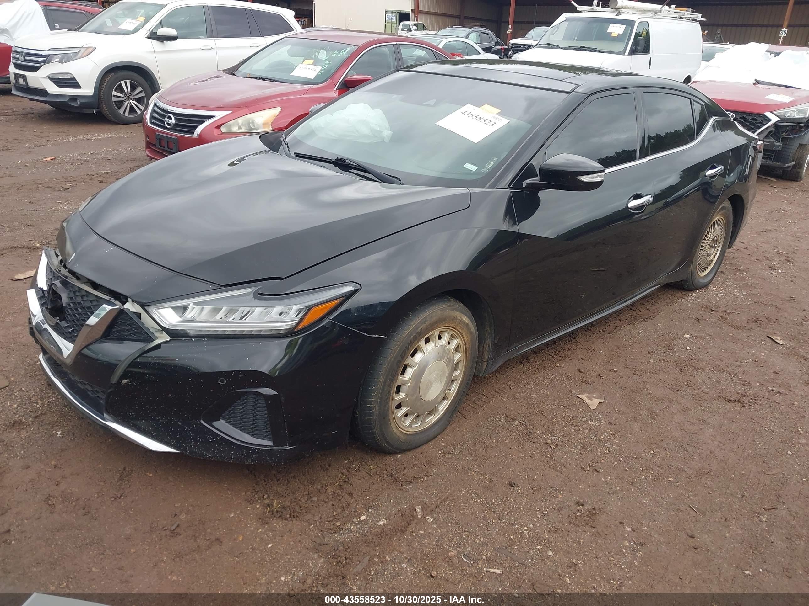 NISSAN MAXIMA image 2