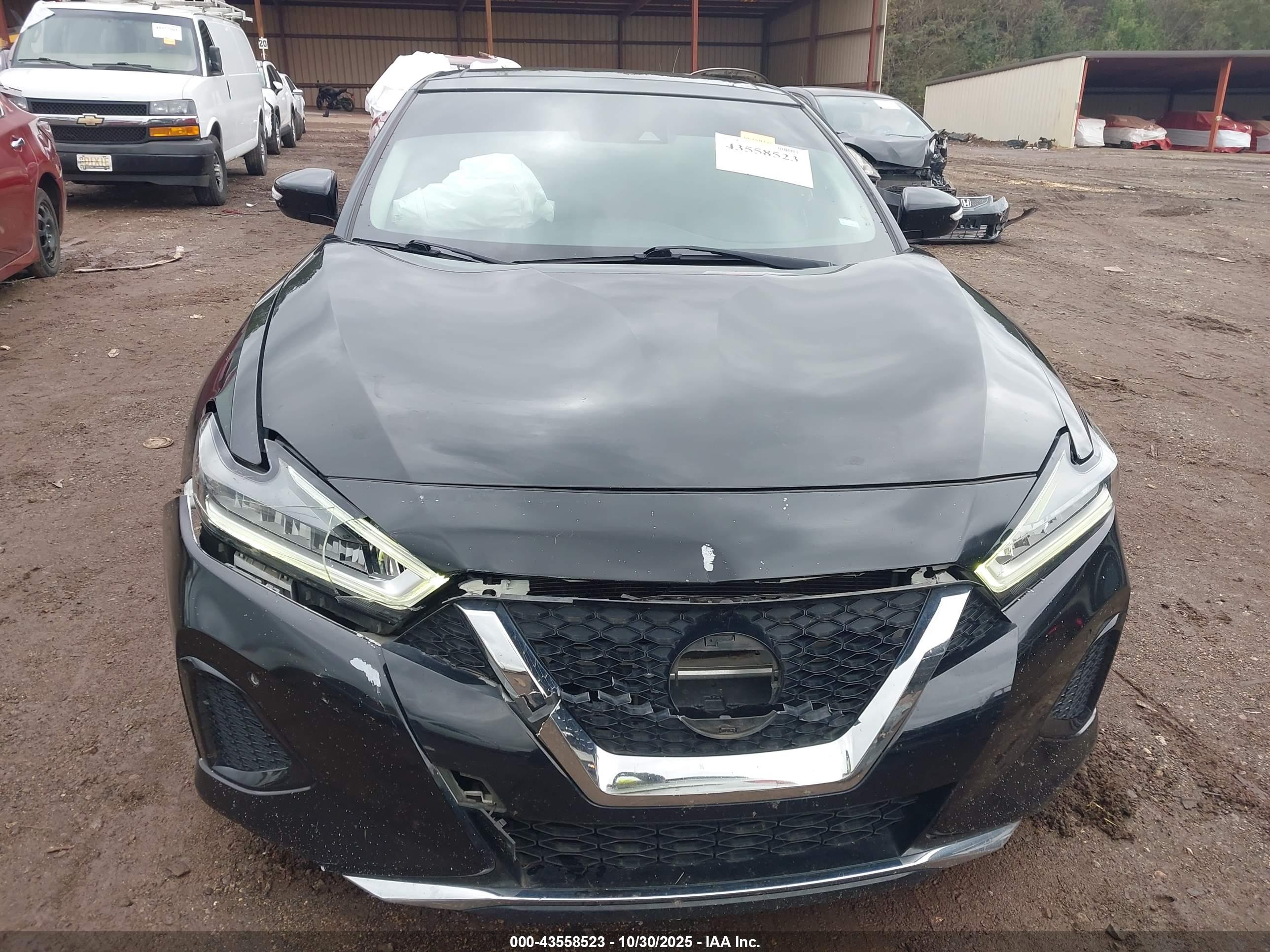 NISSAN MAXIMA image 6
