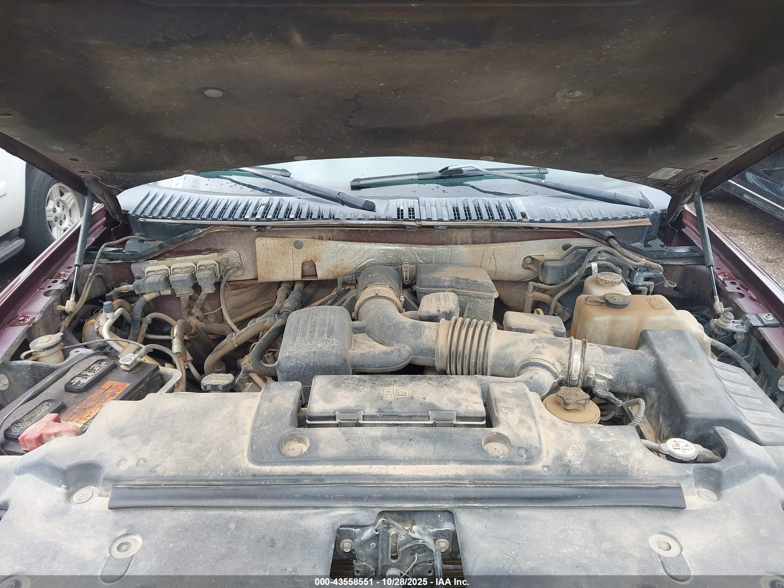 FORD EXPEDITION image 10