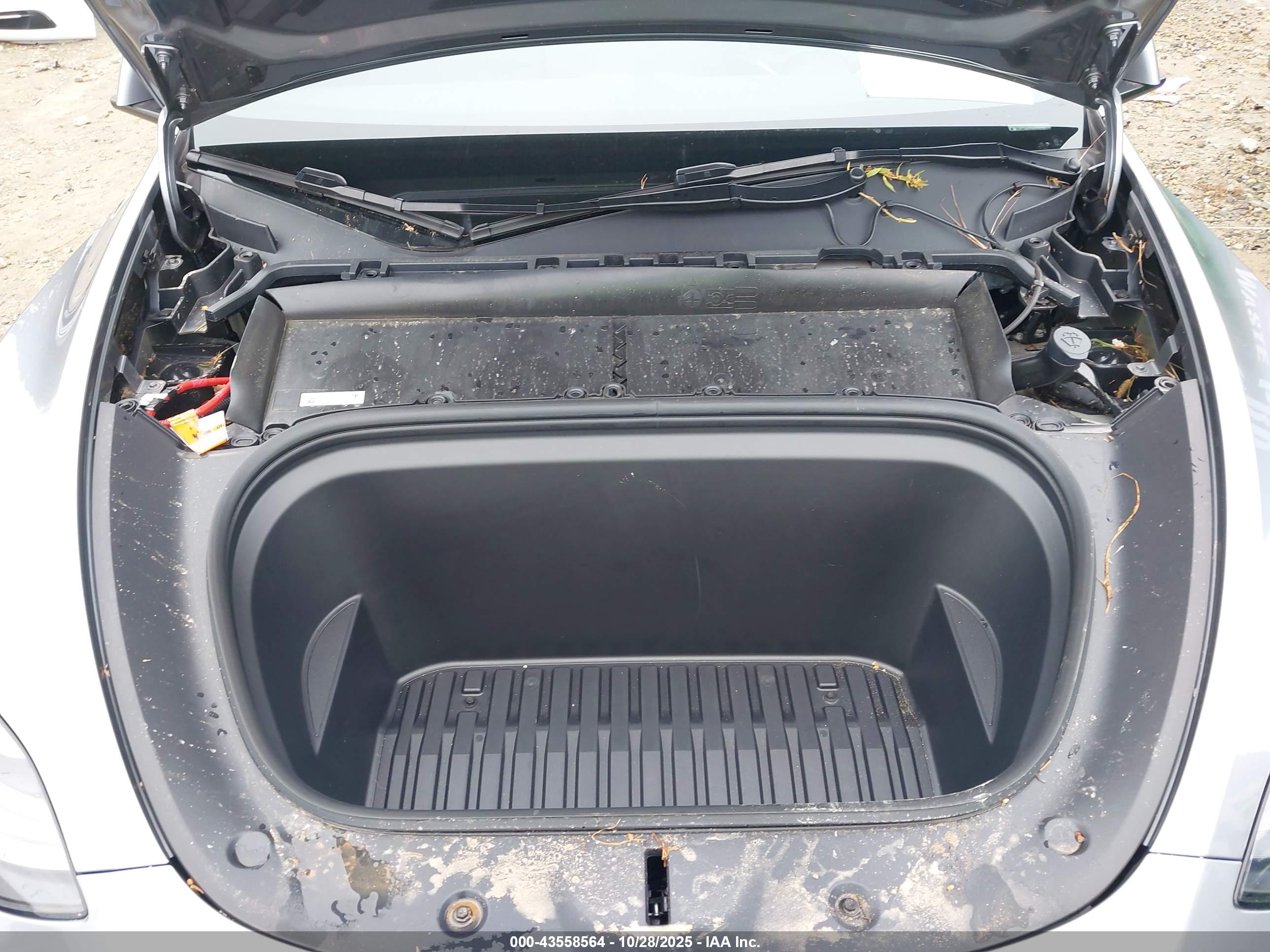 TESLA MODEL image 10