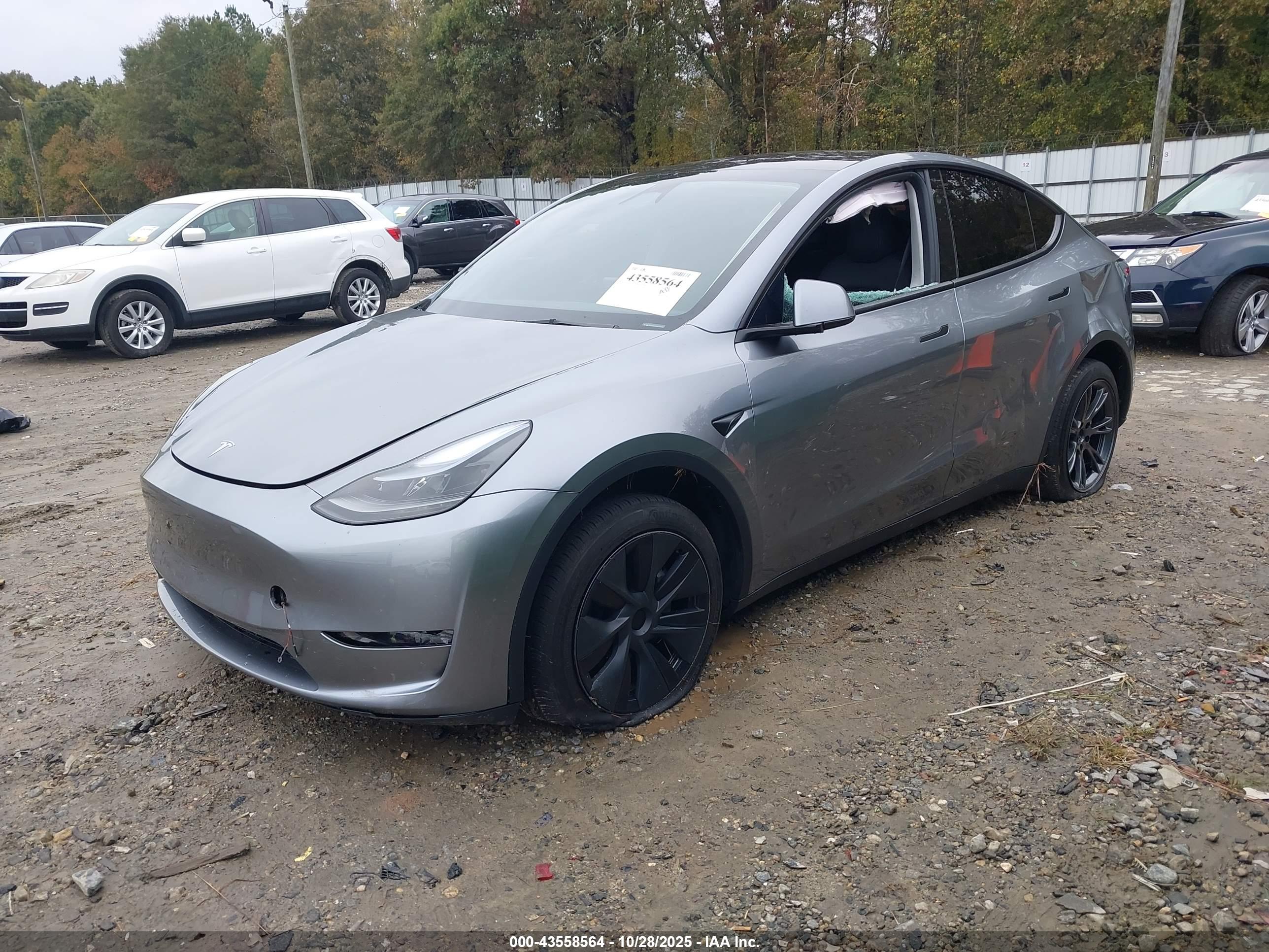 TESLA MODEL image 2