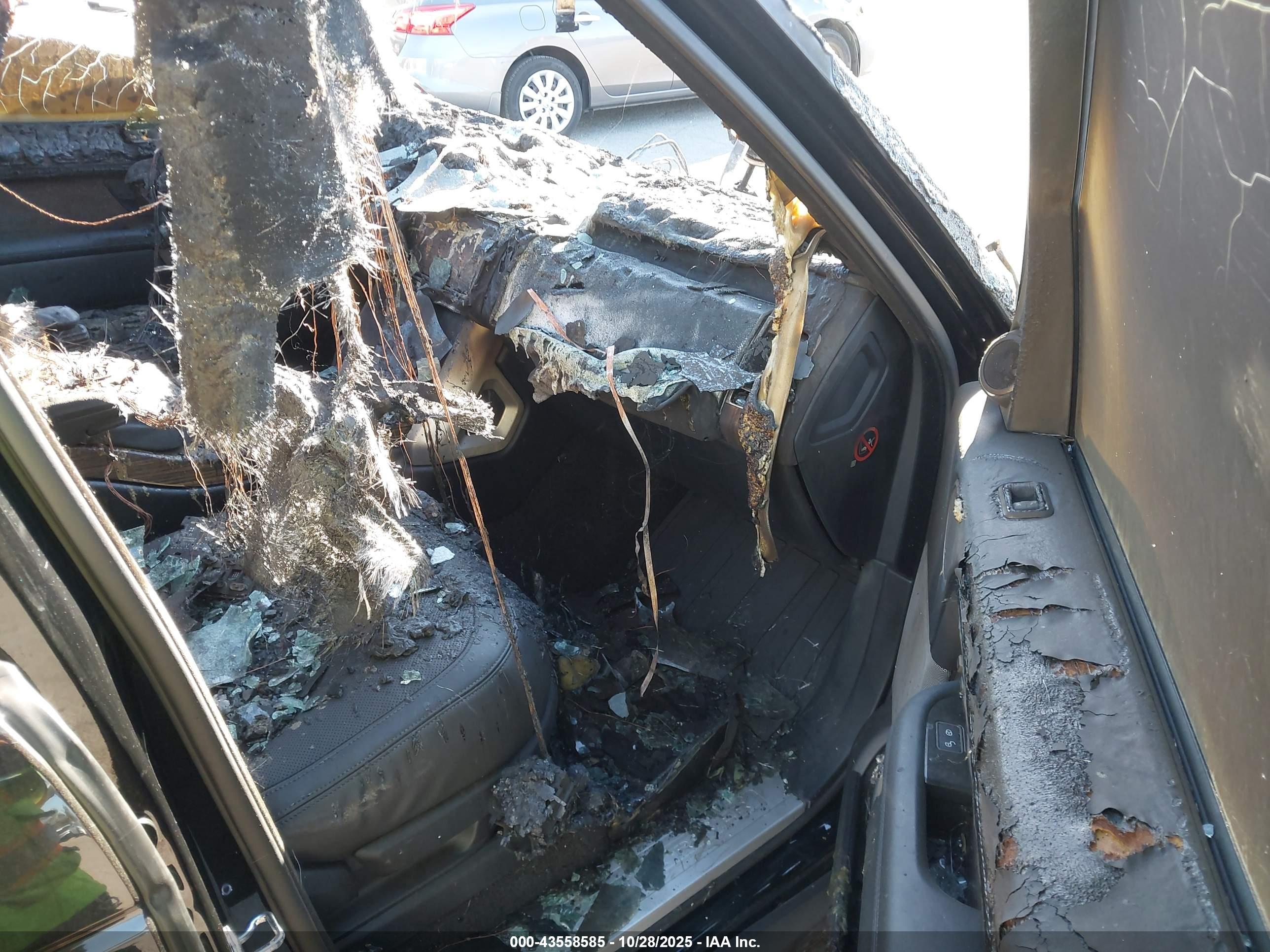 LAND ROVER image 5