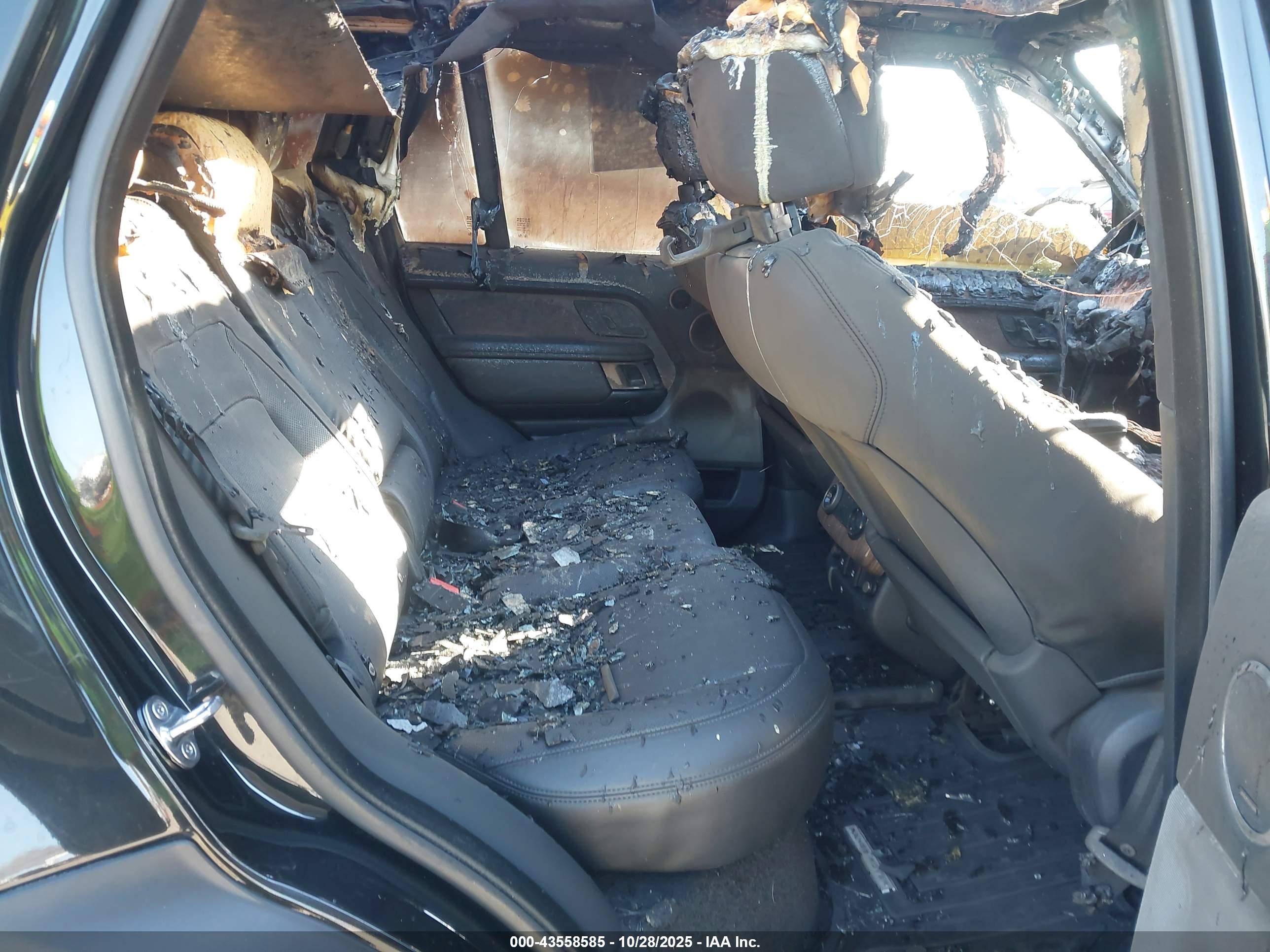 LAND ROVER image 8