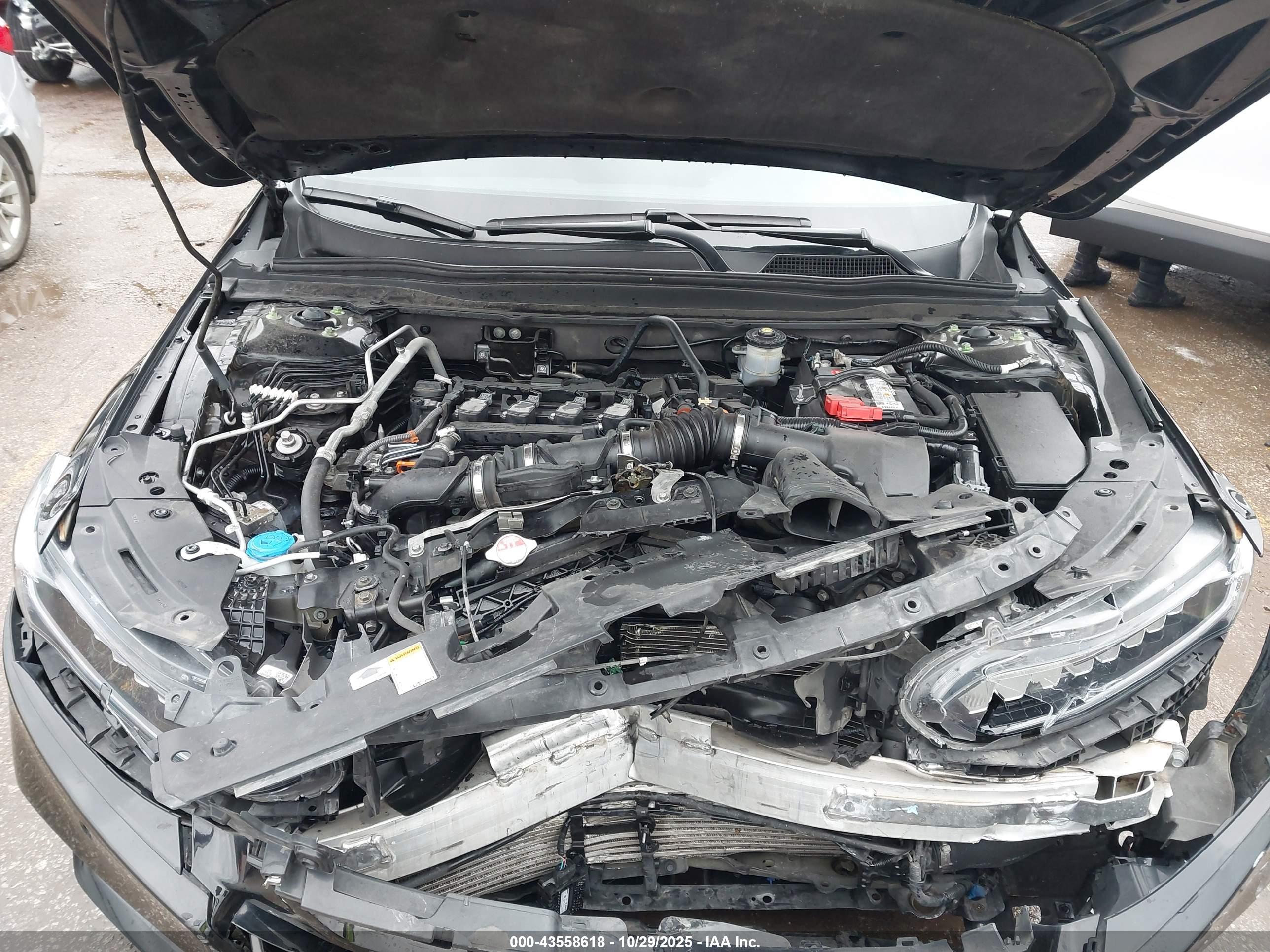 HONDA ACCORD image 10