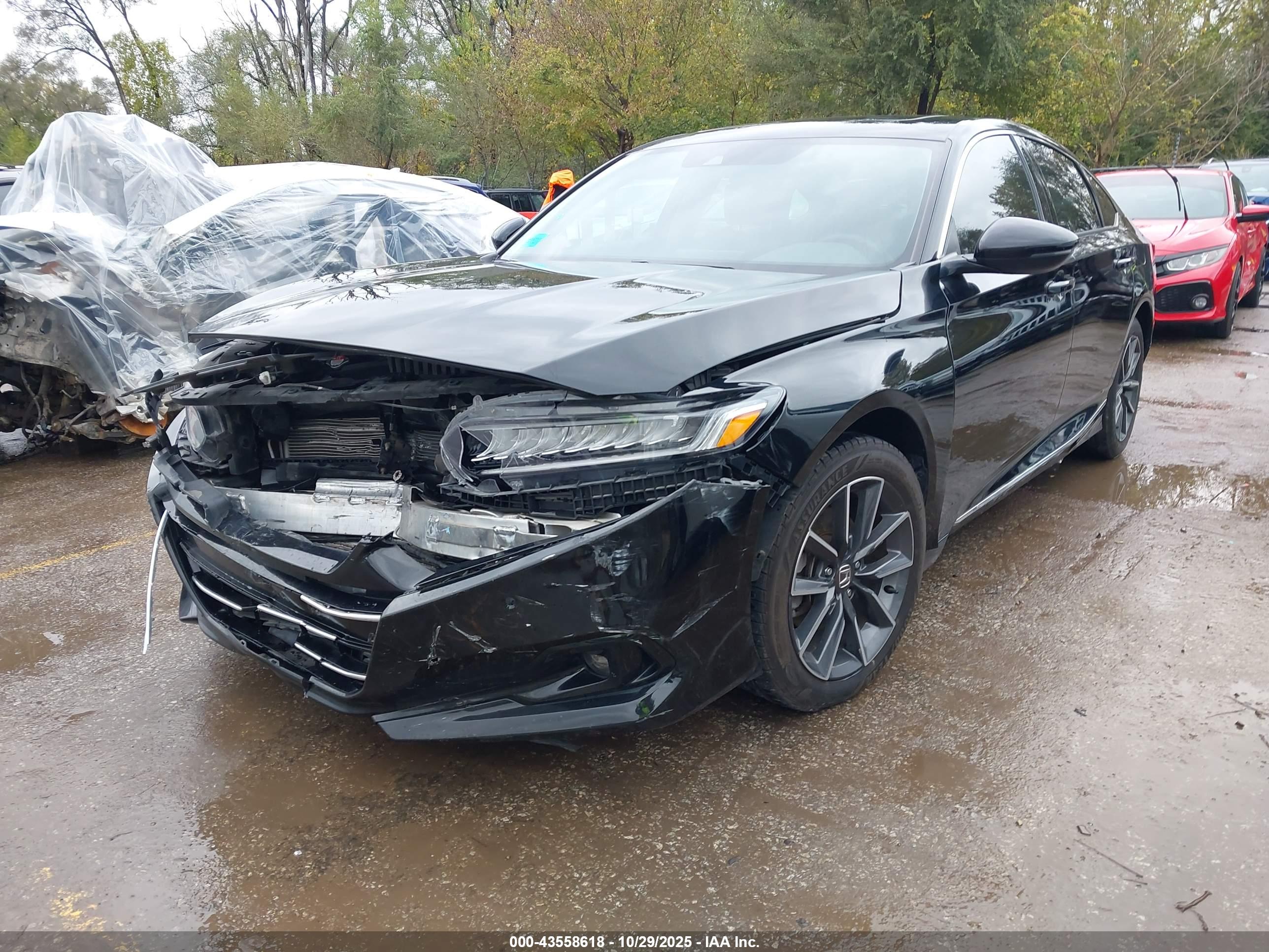 HONDA ACCORD image 2