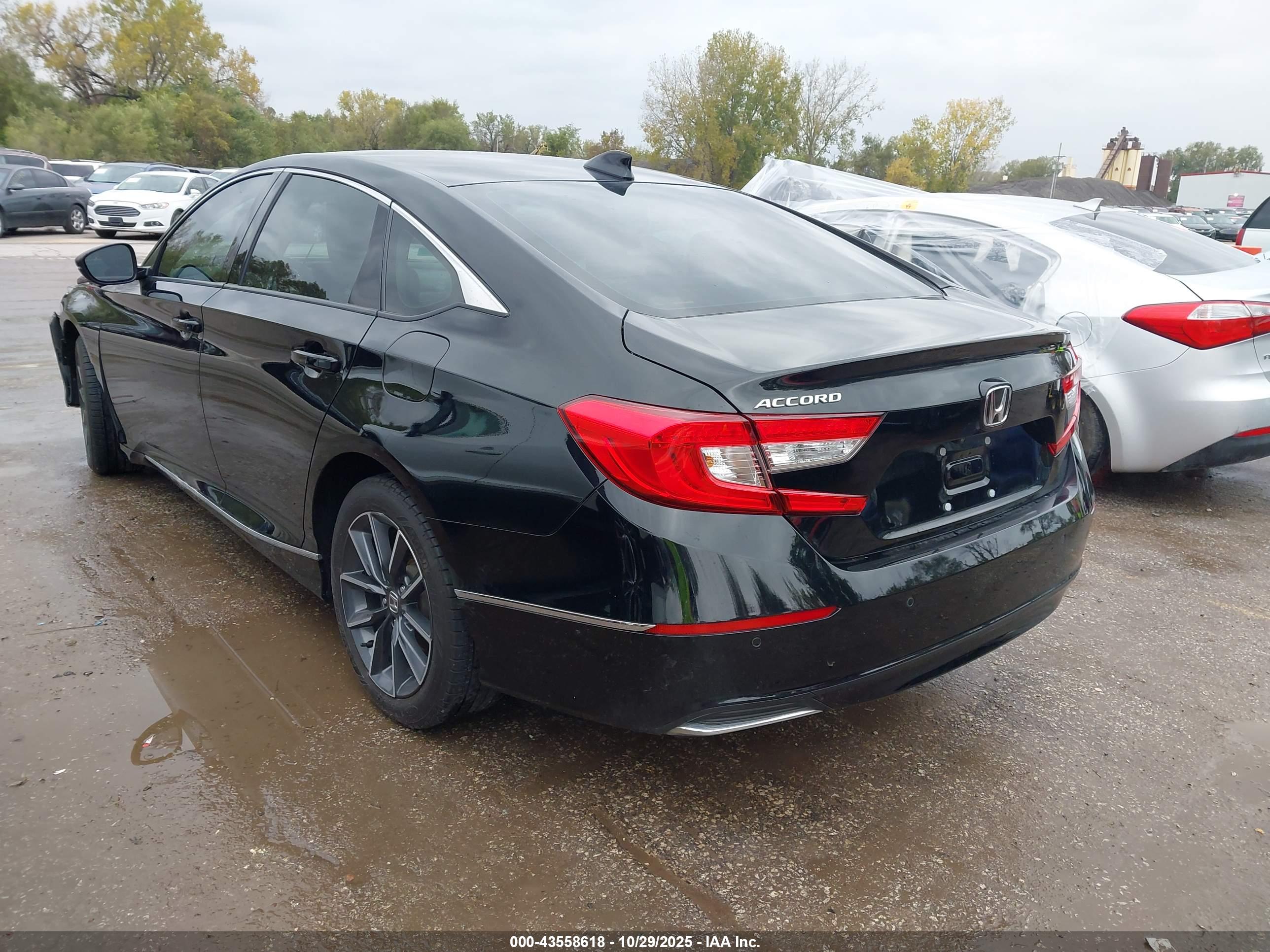 HONDA ACCORD image 3