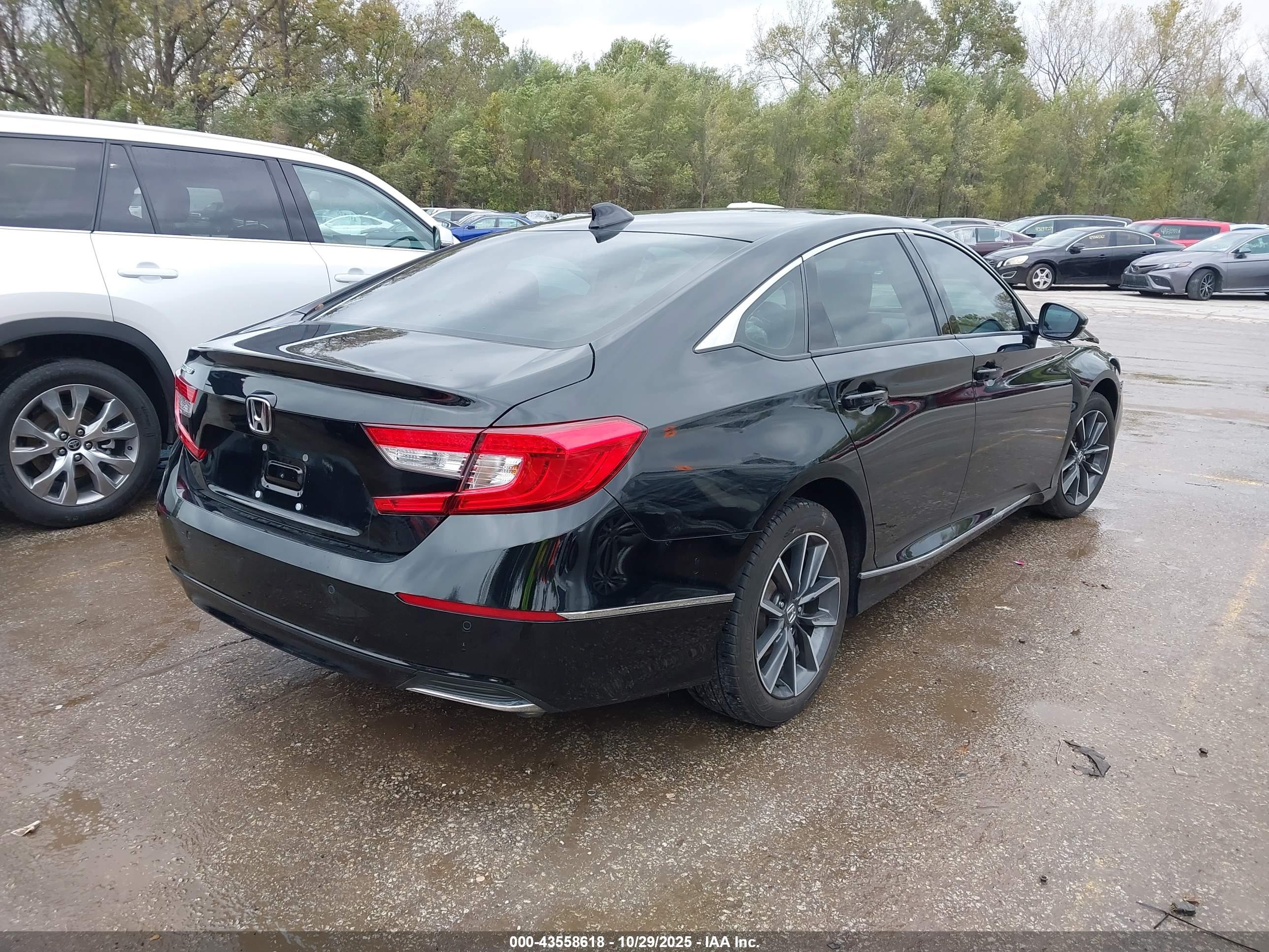 HONDA ACCORD image 4