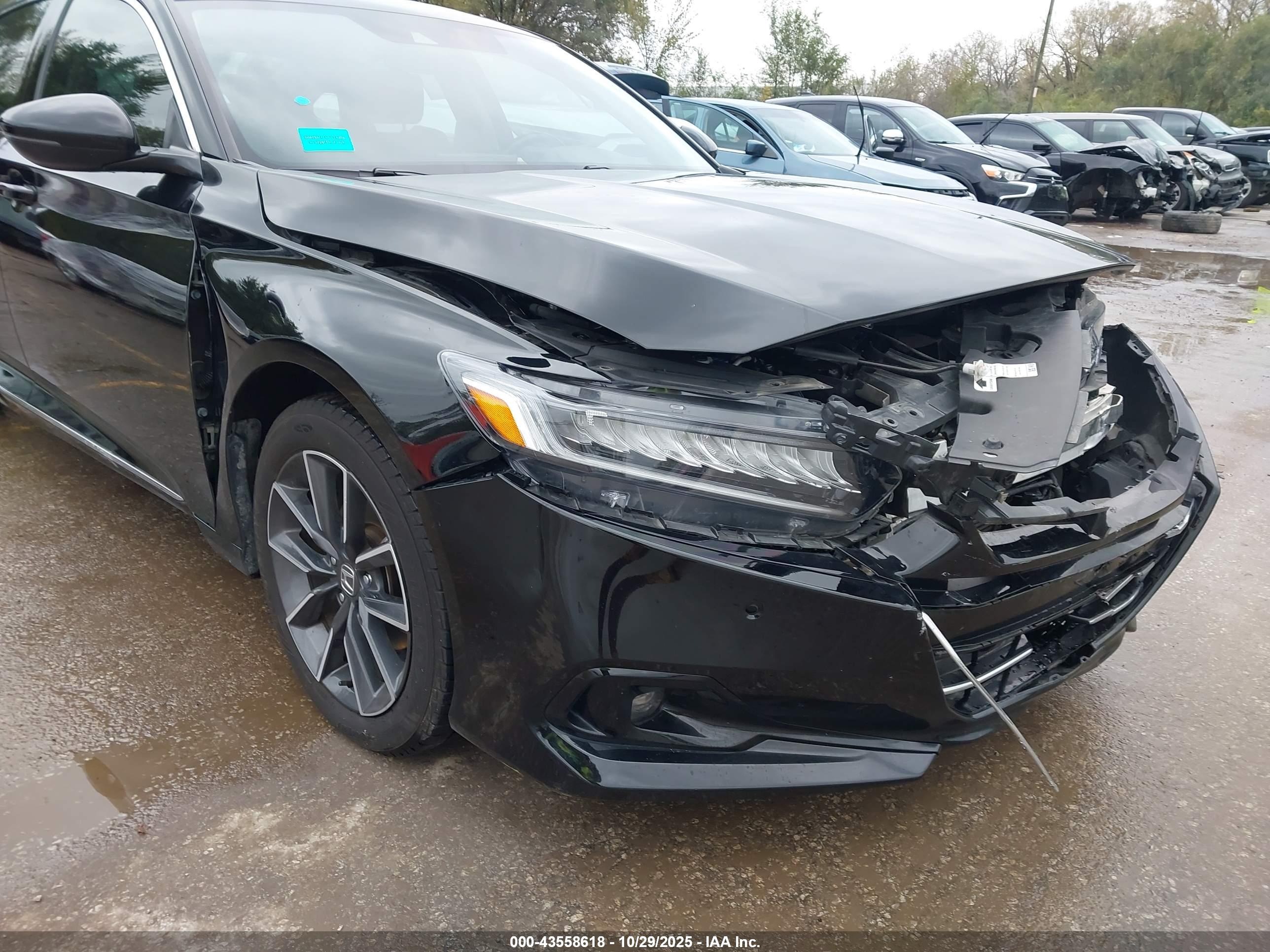 HONDA ACCORD image 6