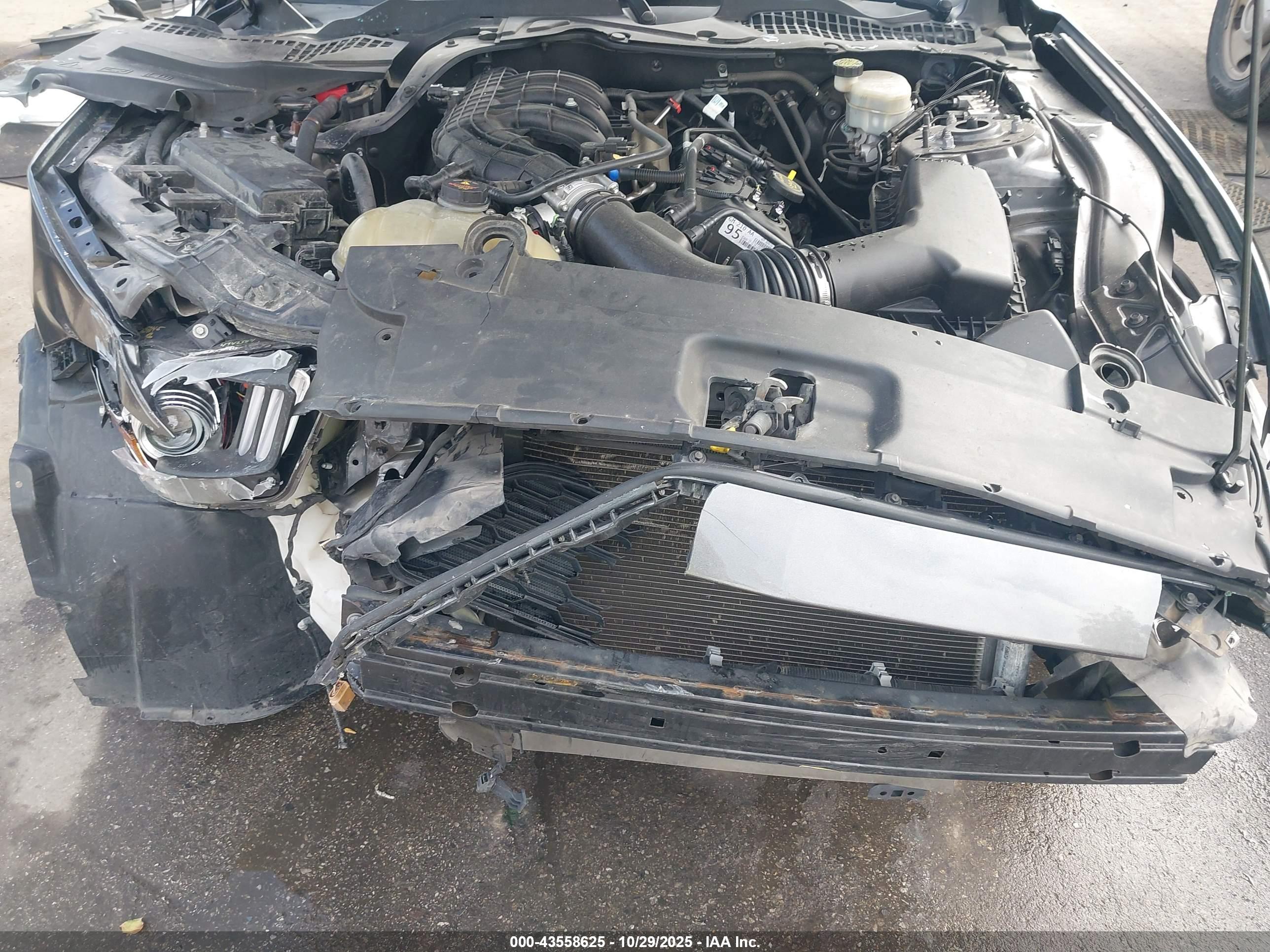 FORD MUSTANG image 10