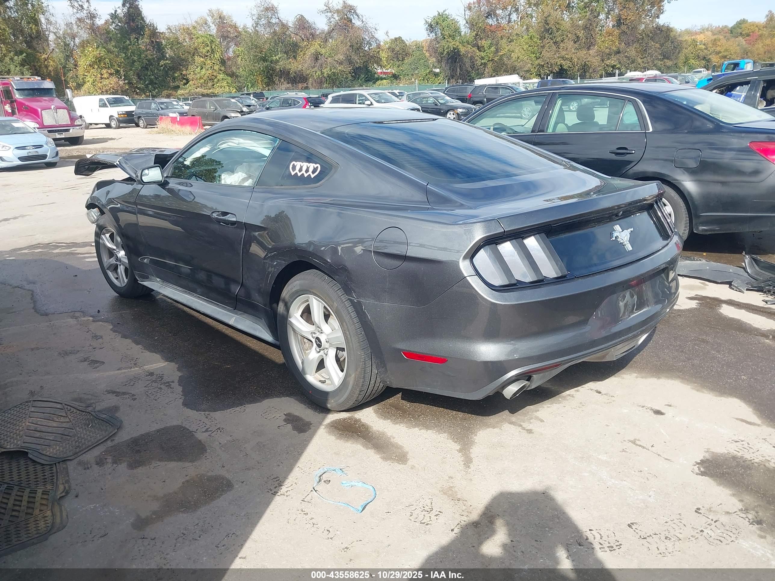 FORD MUSTANG image 3