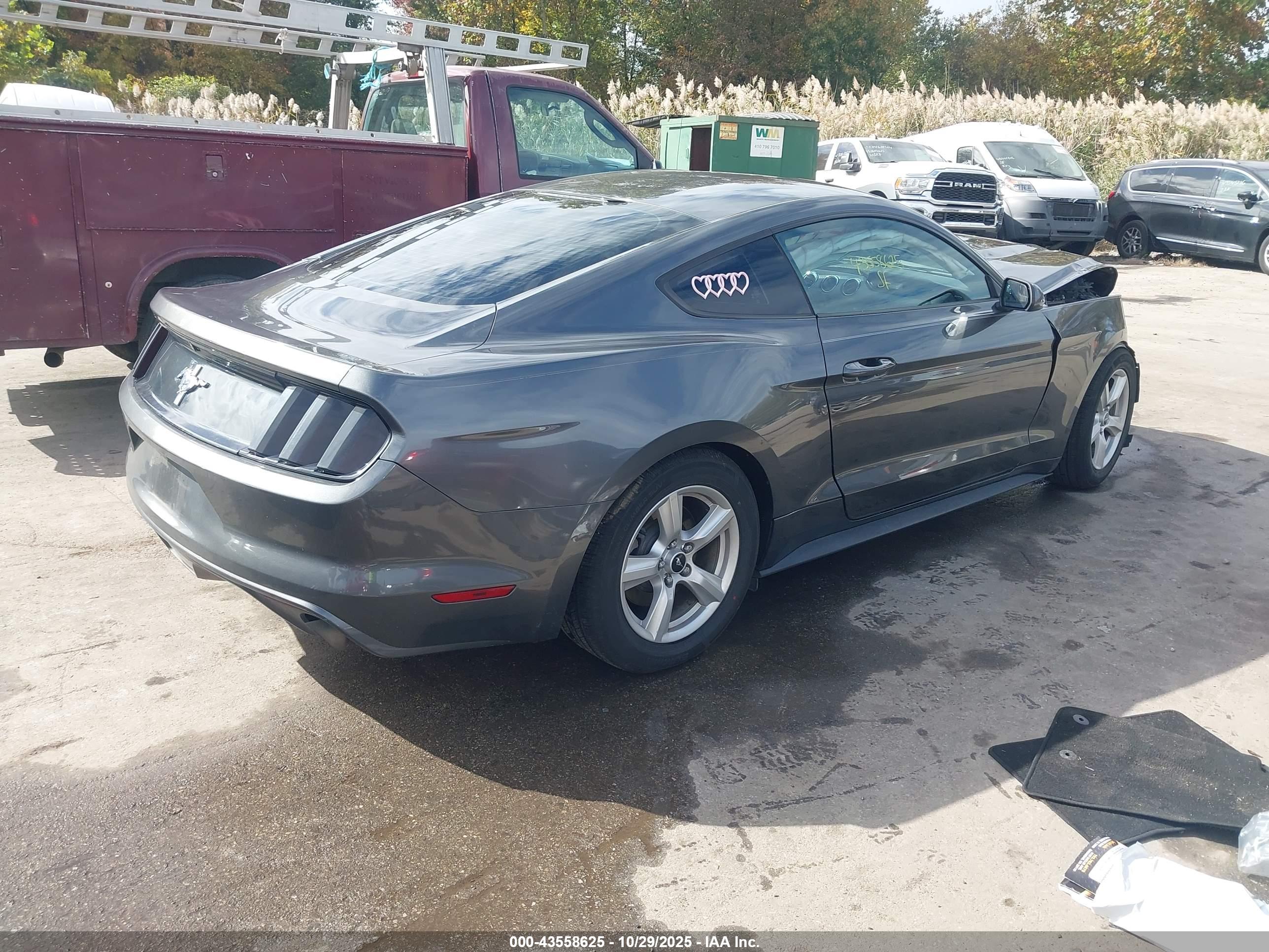 FORD MUSTANG image 4