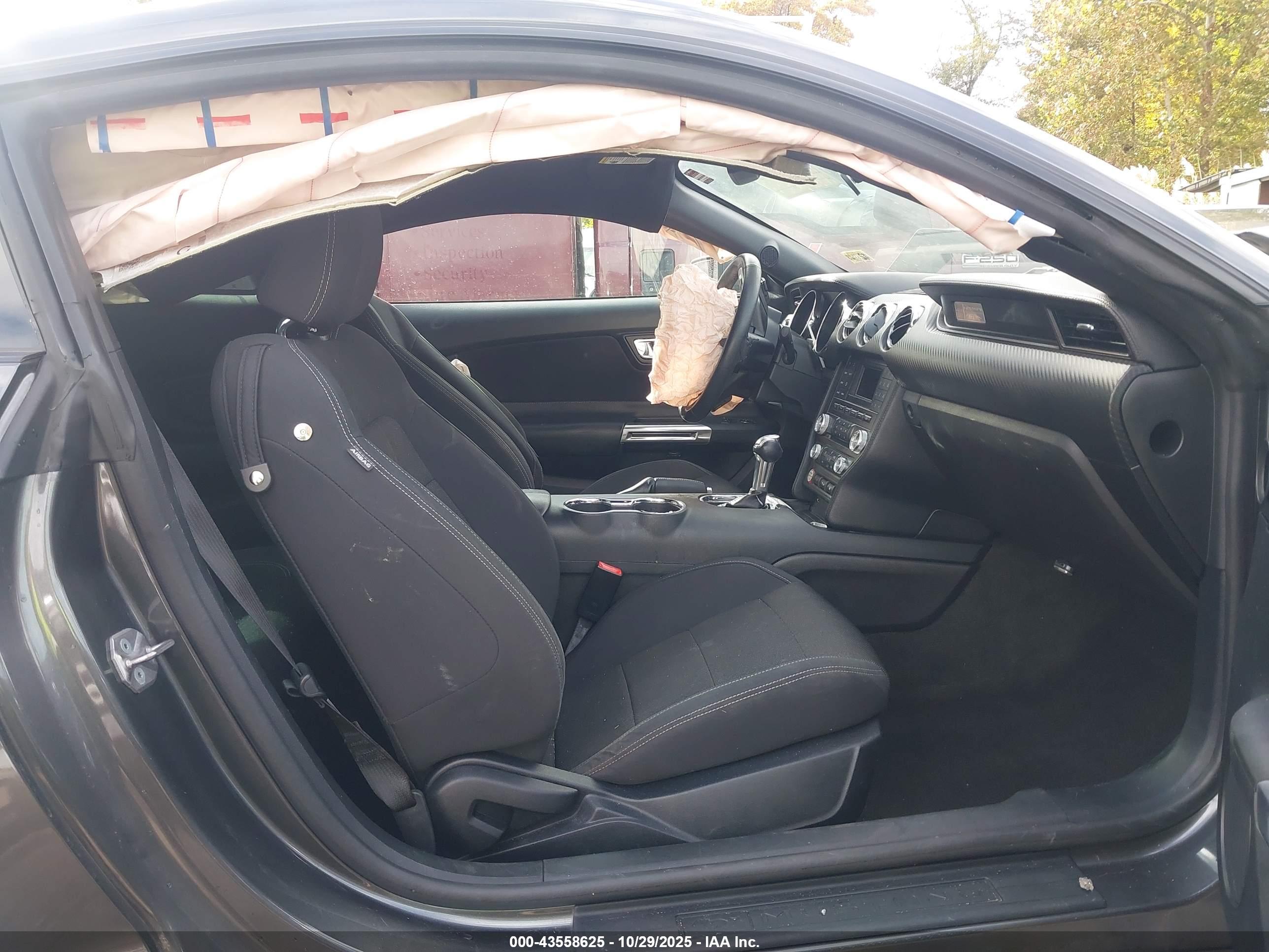 FORD MUSTANG image 5