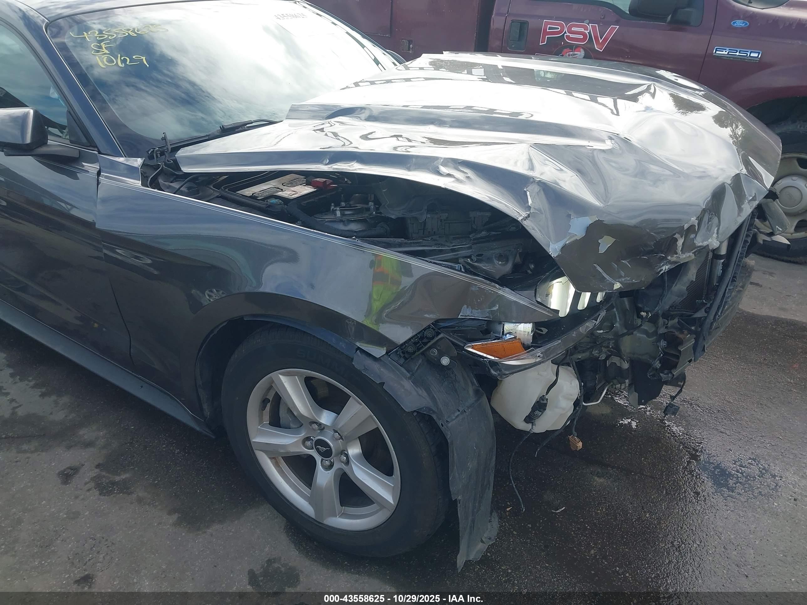 FORD MUSTANG image 6