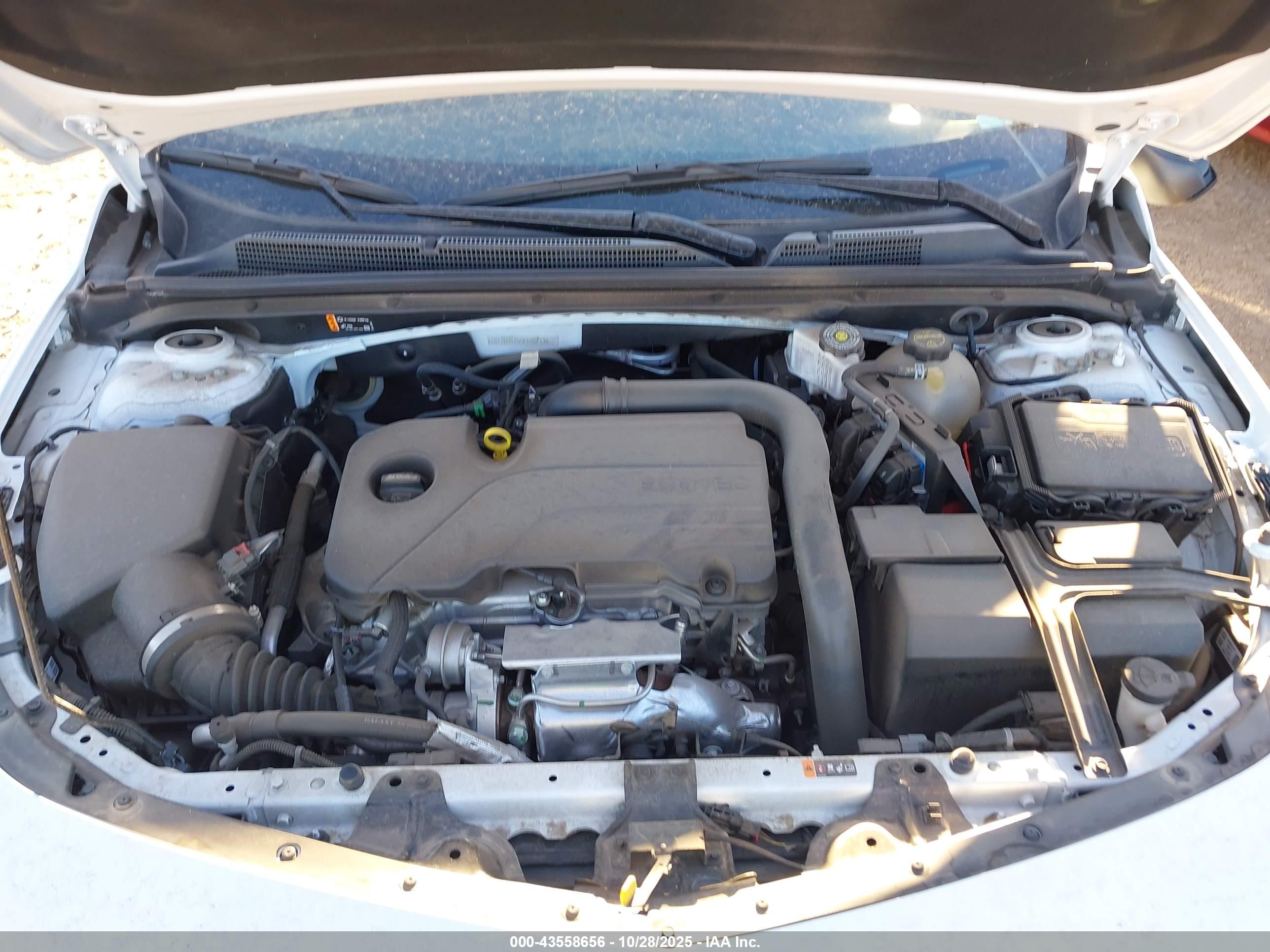 CHEVROLET MALIBU image 10