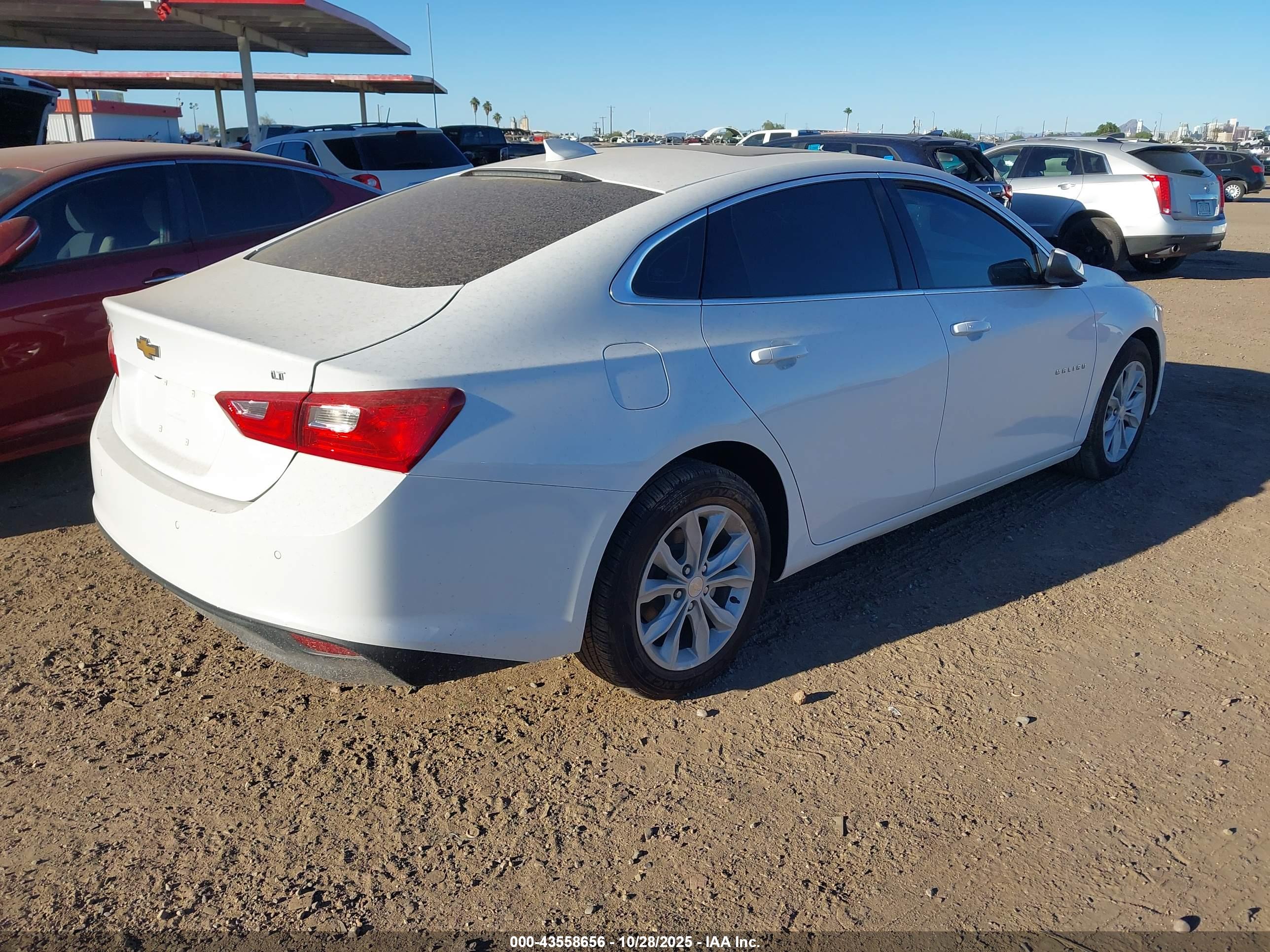 CHEVROLET MALIBU image 4