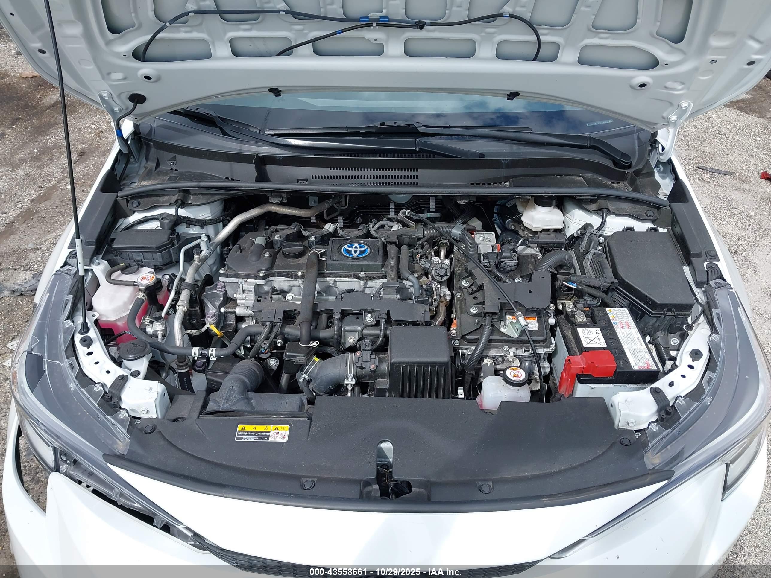 TOYOTA COROLLA image 10