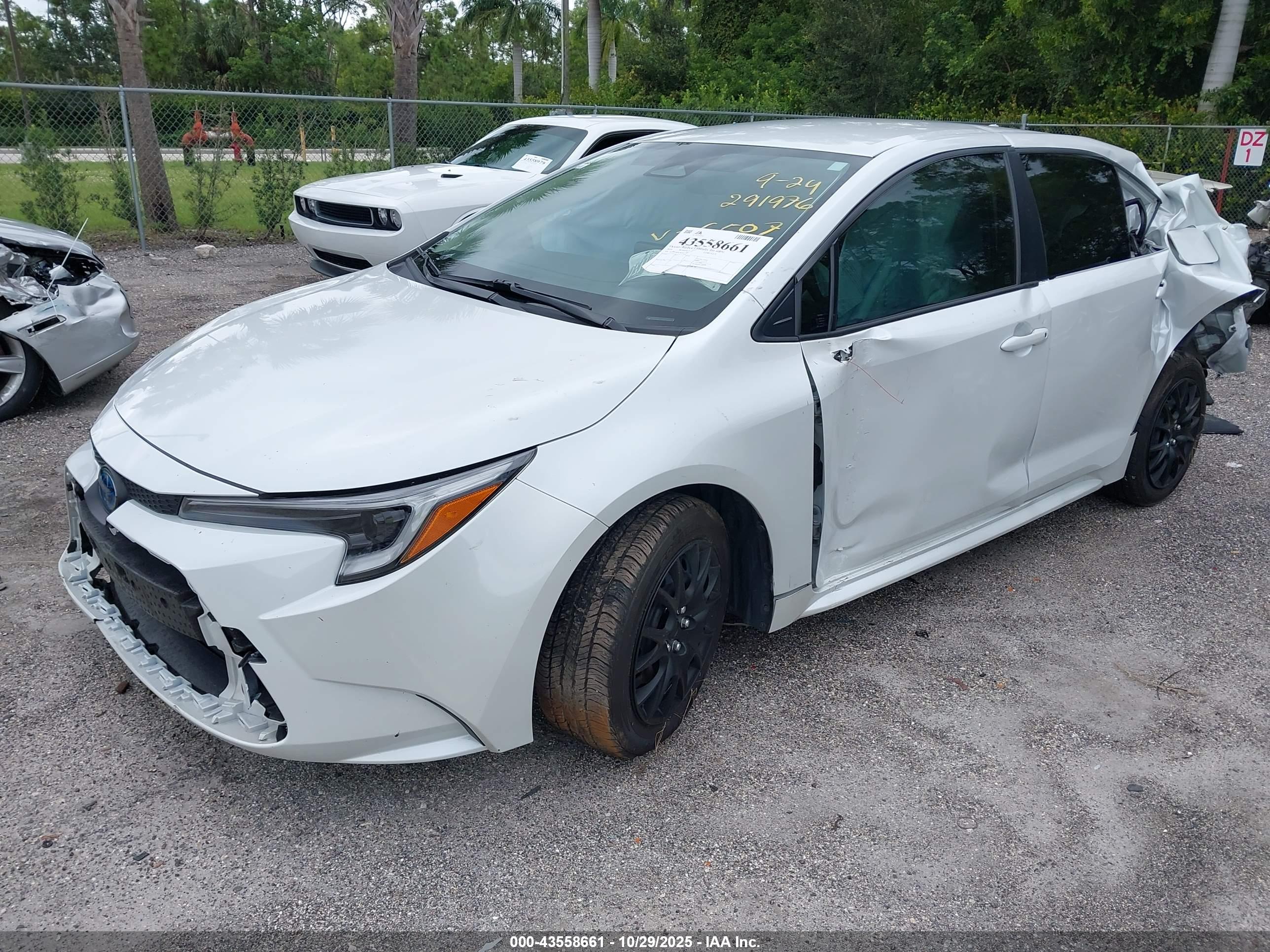 TOYOTA COROLLA image 2