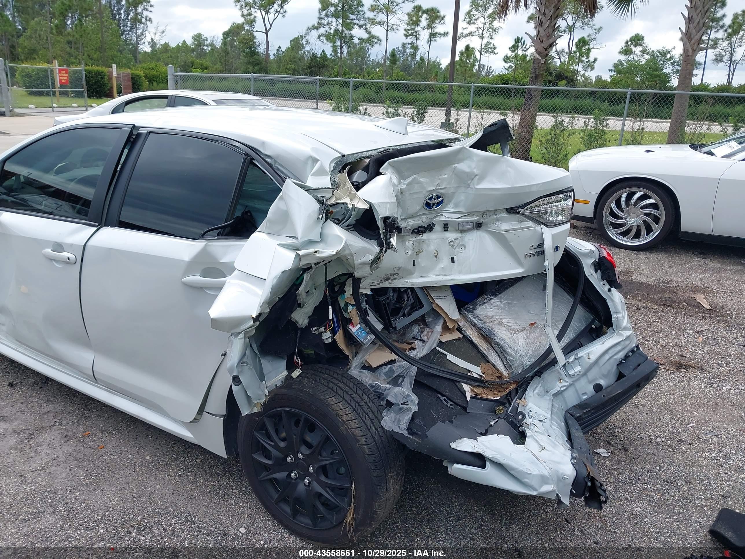 TOYOTA COROLLA image 6