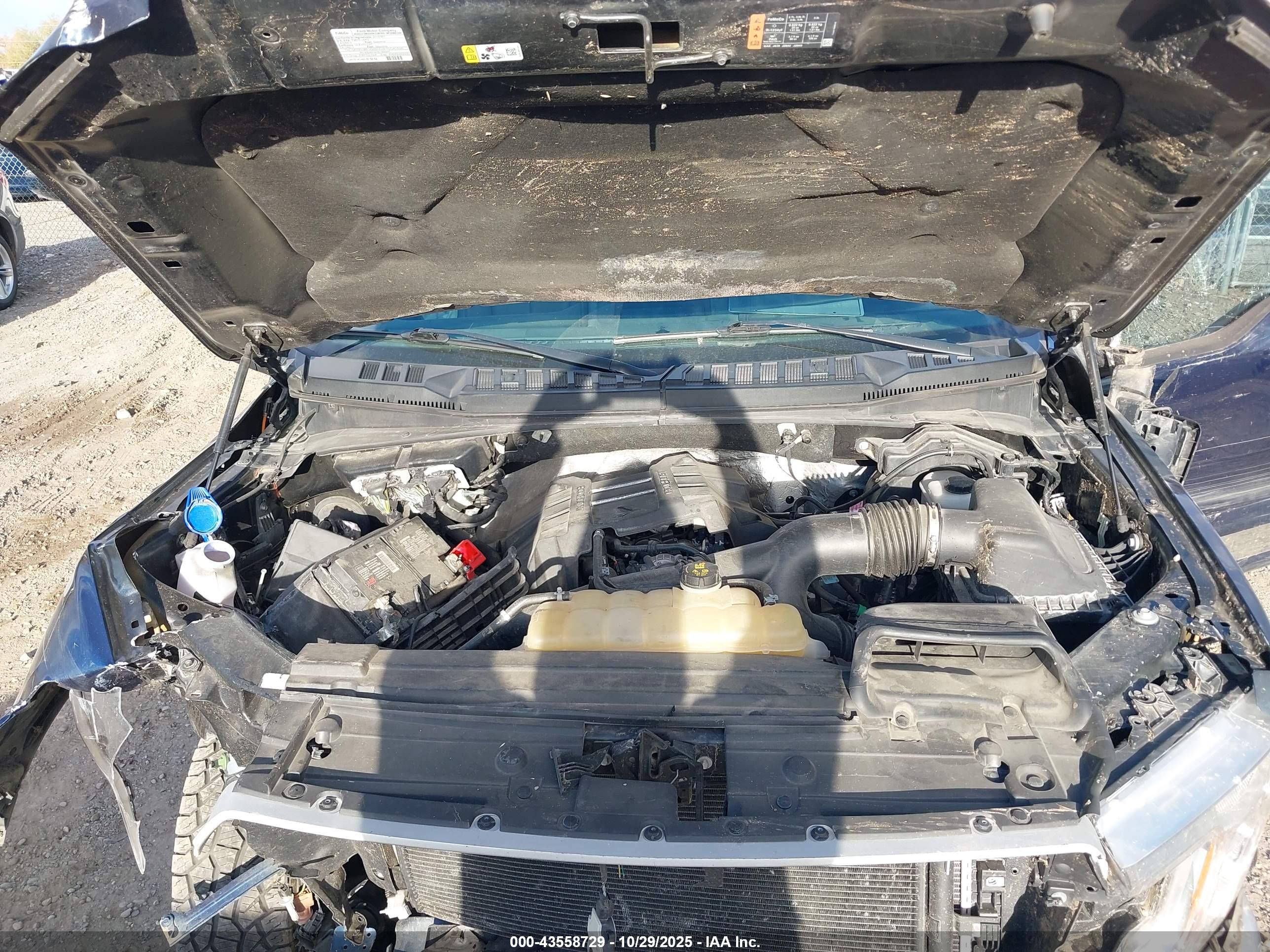 FORD F-150 image 10
