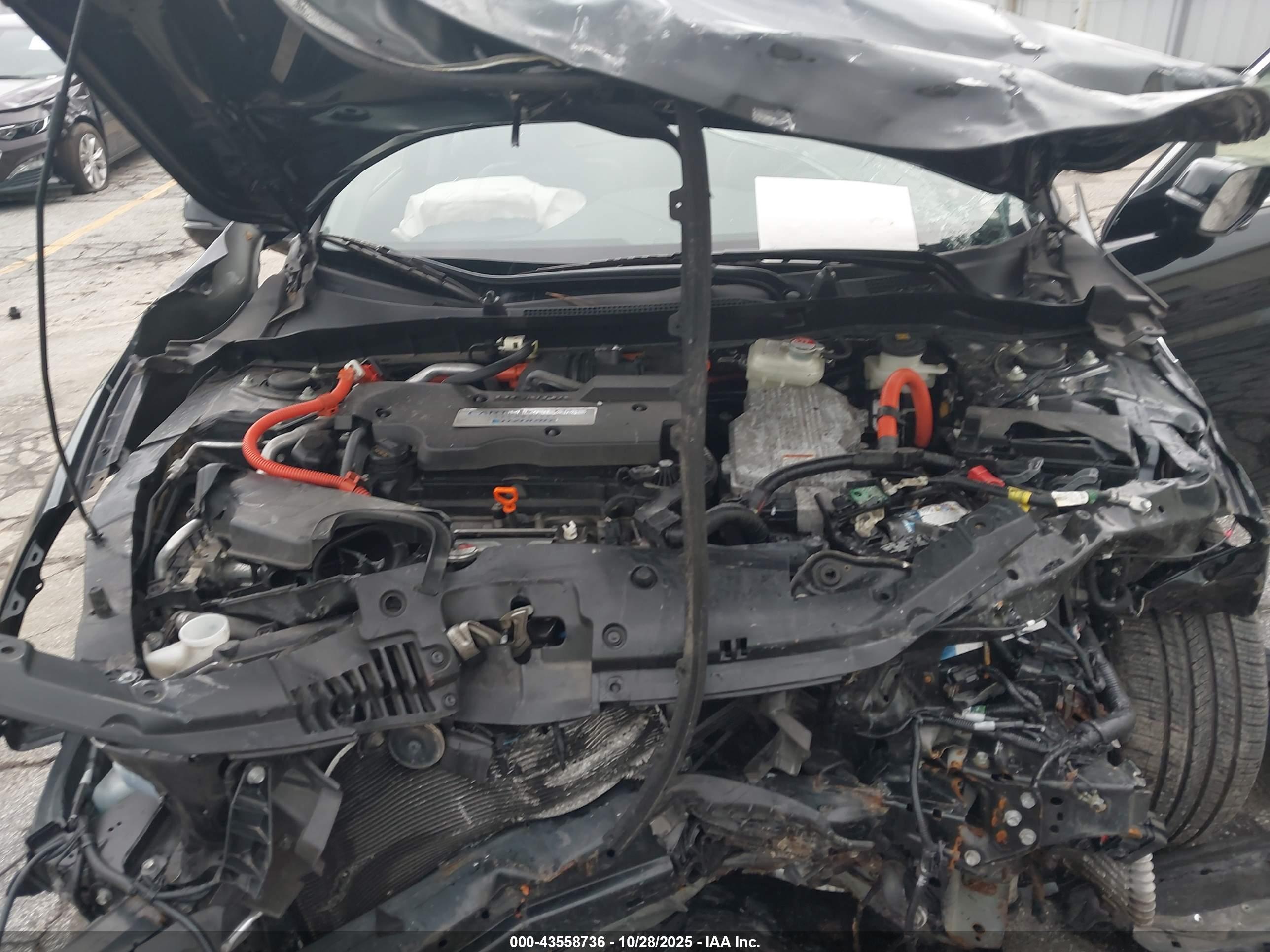 HONDA ACCORD image 10