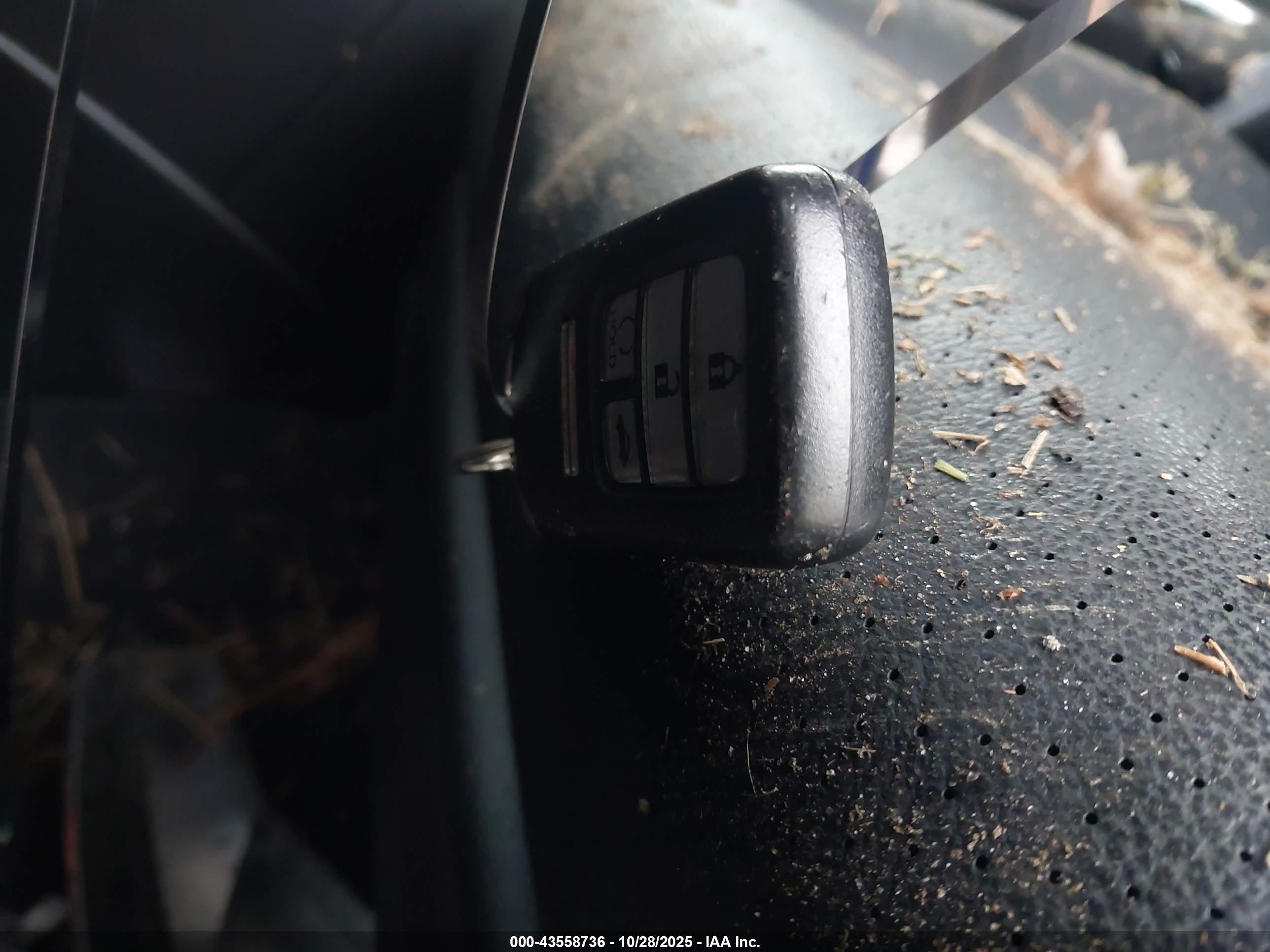 HONDA ACCORD image 11