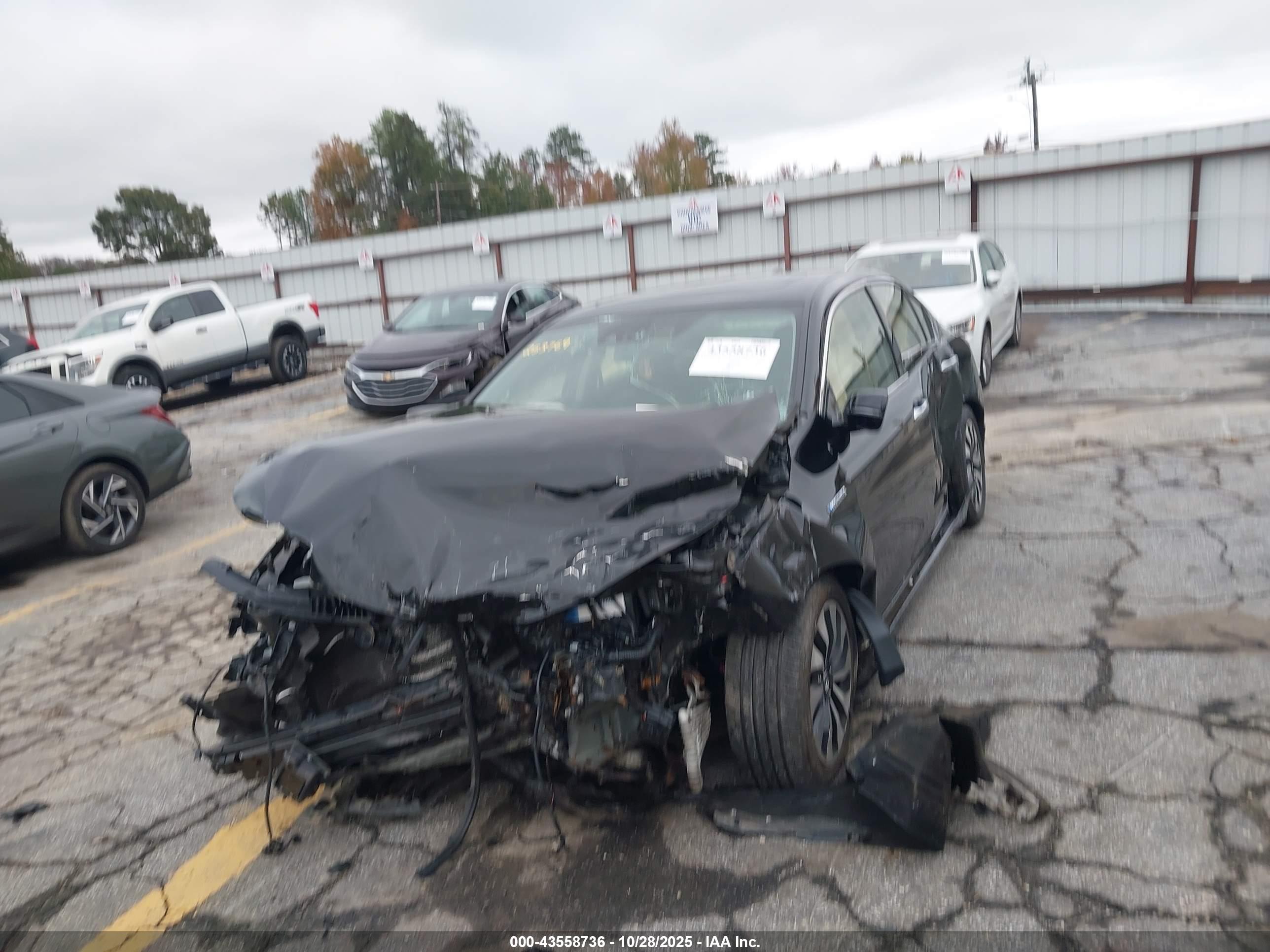HONDA ACCORD image 2
