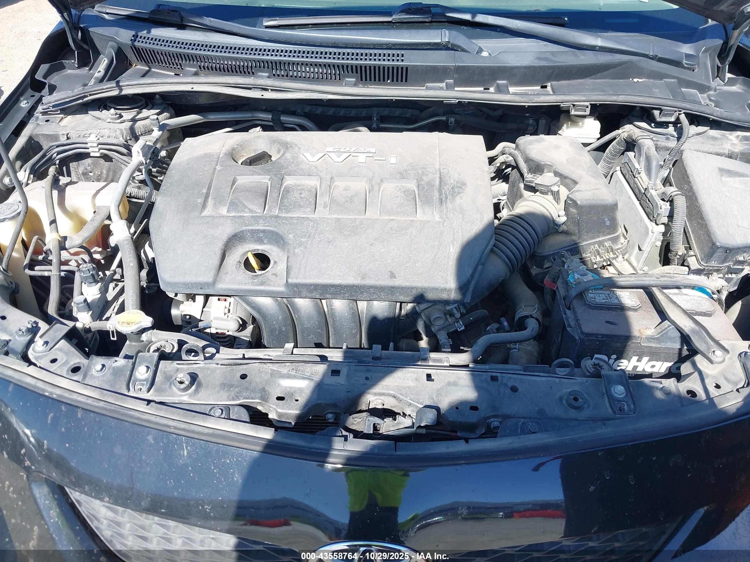 TOYOTA COROLLA image 10