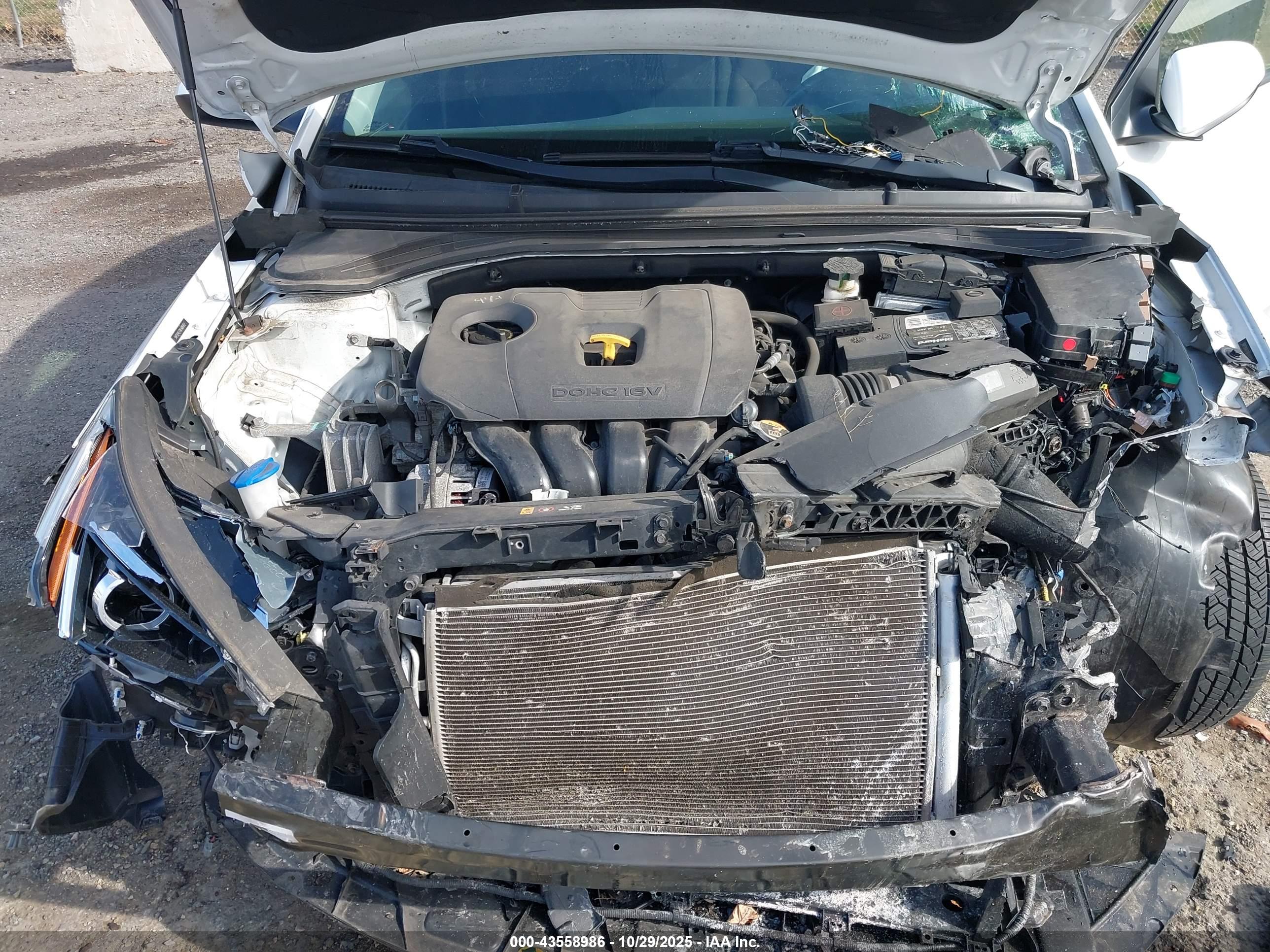 HYUNDAI ELANTRA image 10